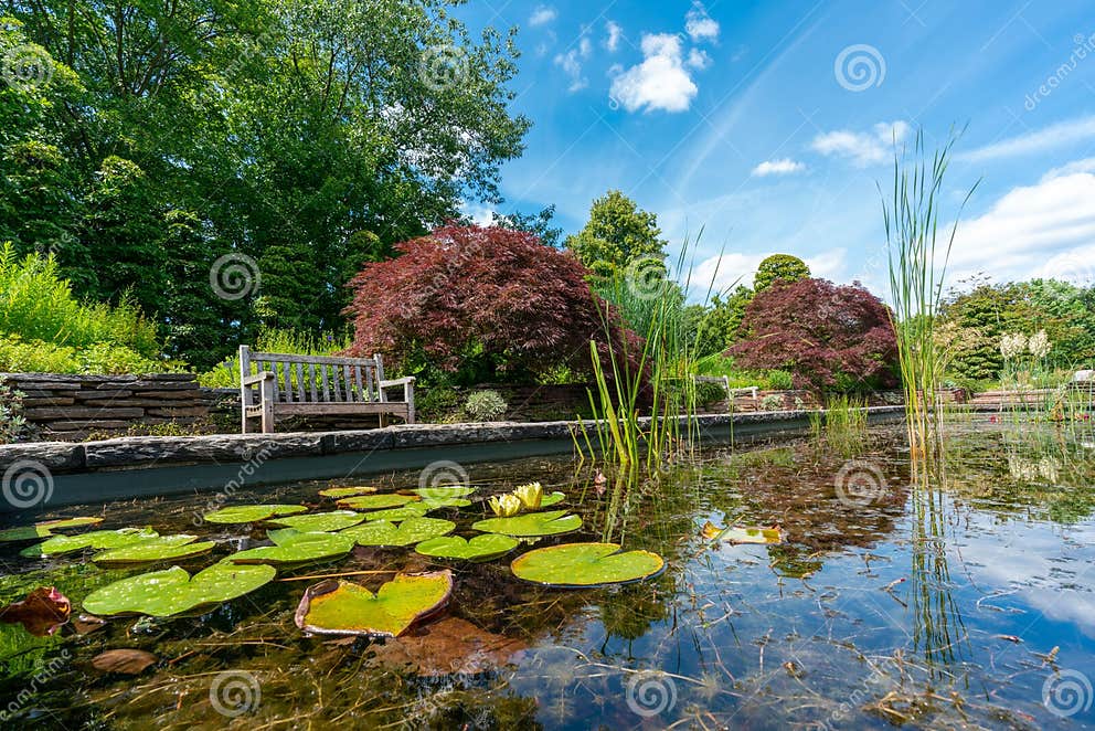 Teich Des Formalen Gartens Mit Seerosen Und Einer Parkbank Stockfoto