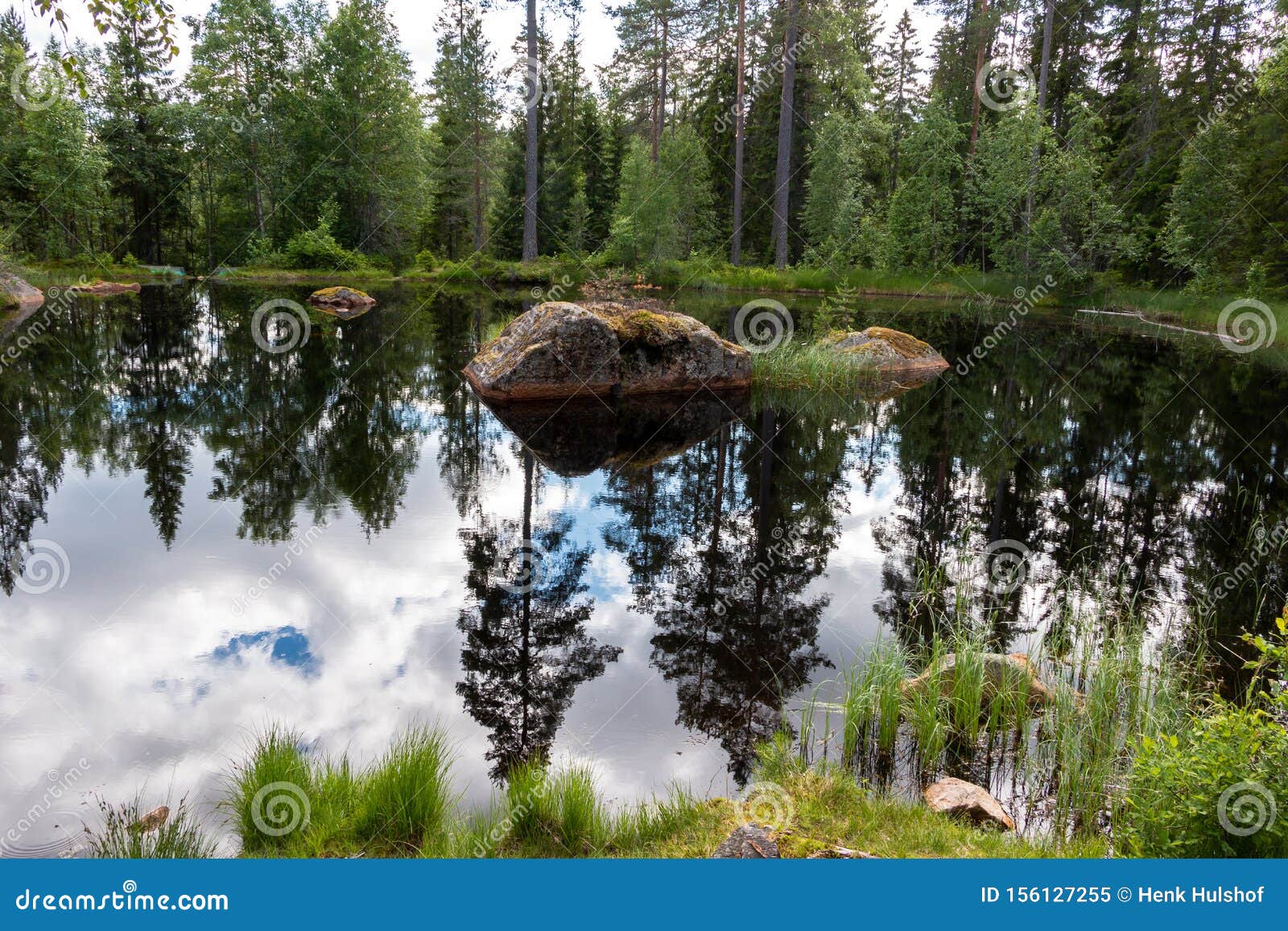 Teich im Wald Schwedens stockbild. Bild von bedürftig 156127255