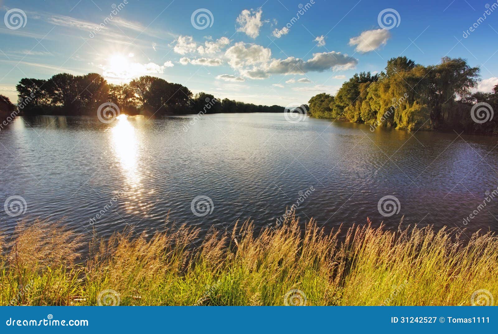 Teich mit Sonne und Wald stockbild. Bild von nett, wanderung 31242527