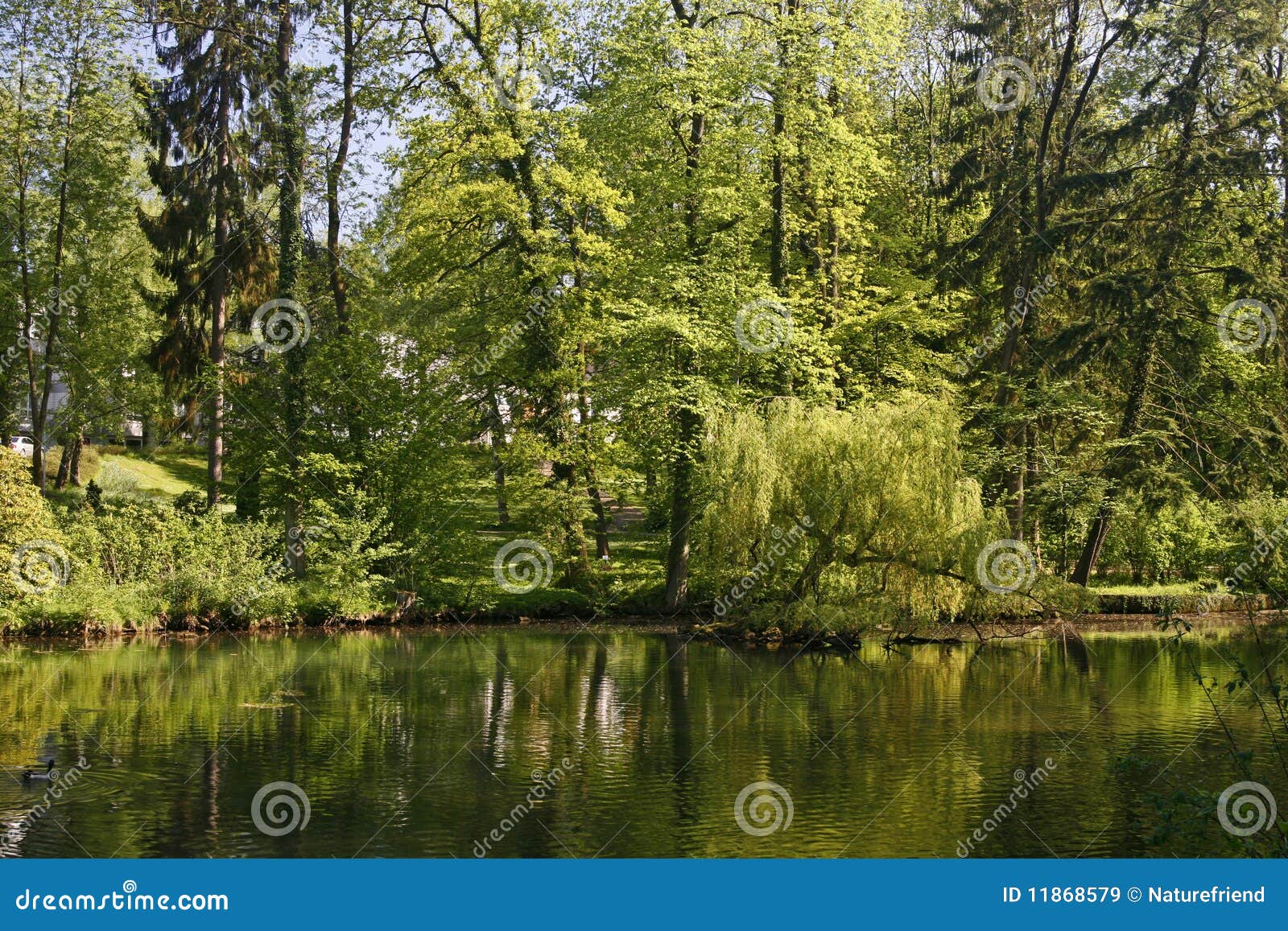 Teich Mit Wasserreflexion, Deutschland Stockbild Bild von