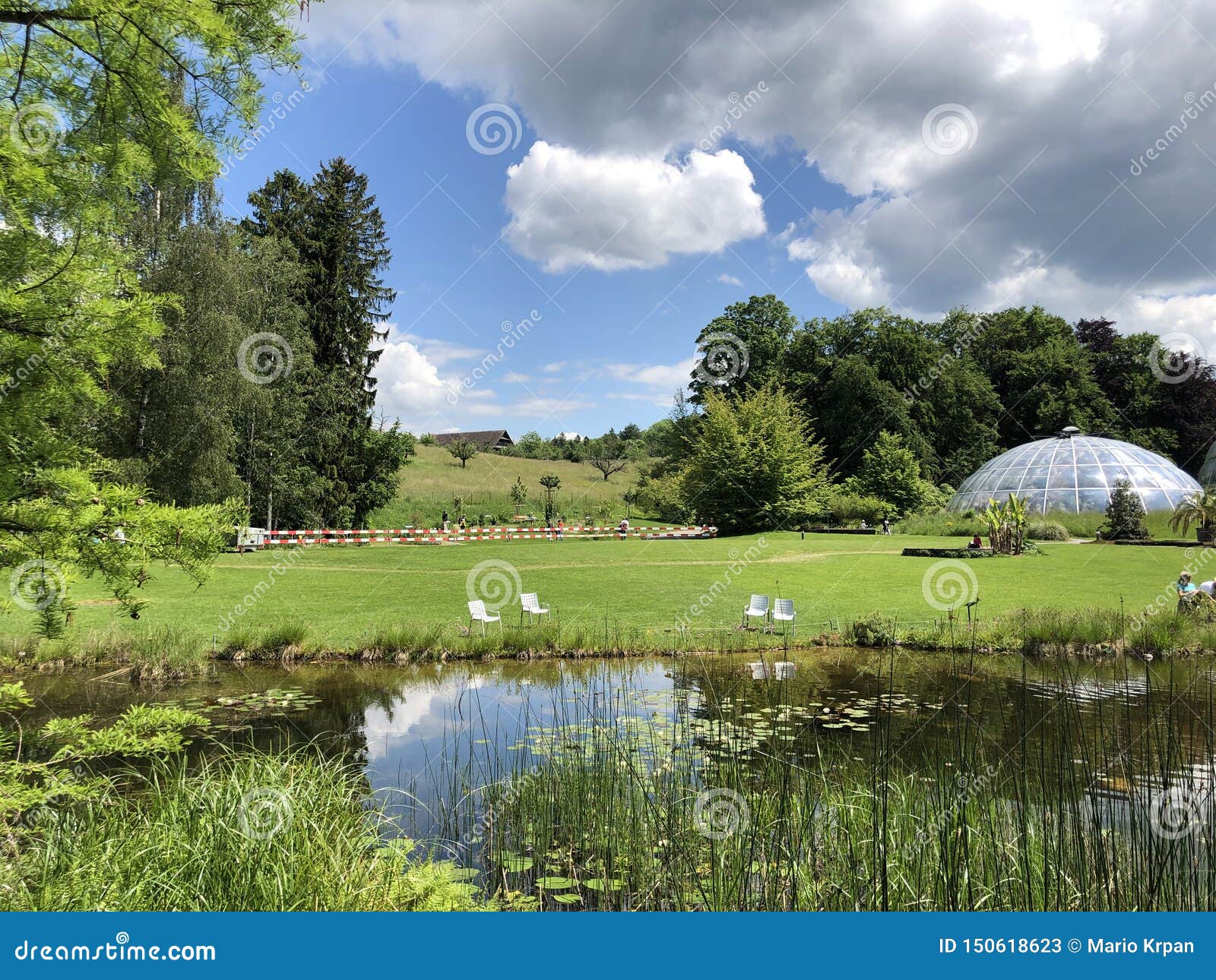 Teich Oder Teich Botanischer Garten Der Universität Von Zürich Oder