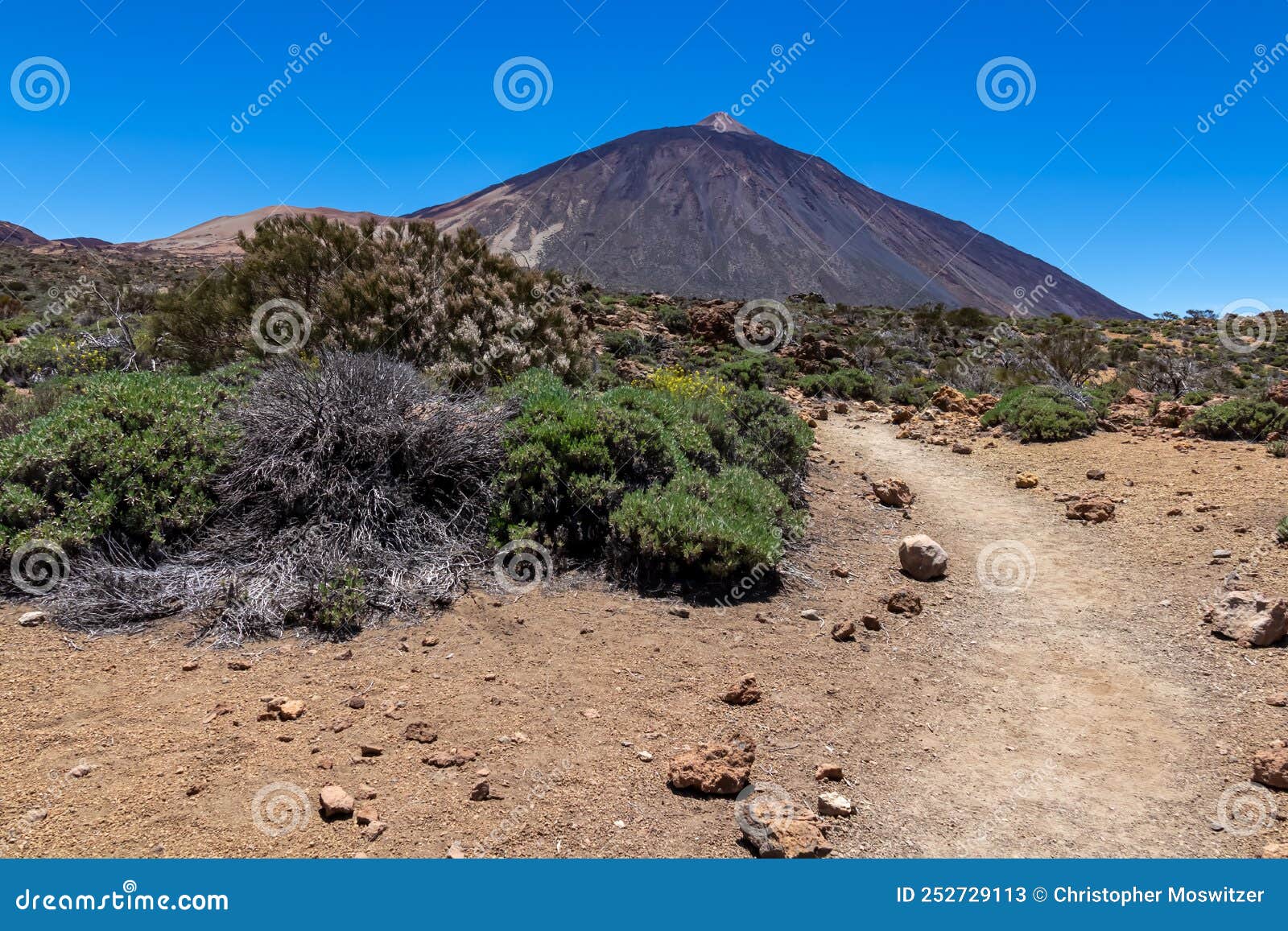 teide - panoramic view on volcano pico del teide and montana blanca, mount el teide national park, tenerife, canary islands,