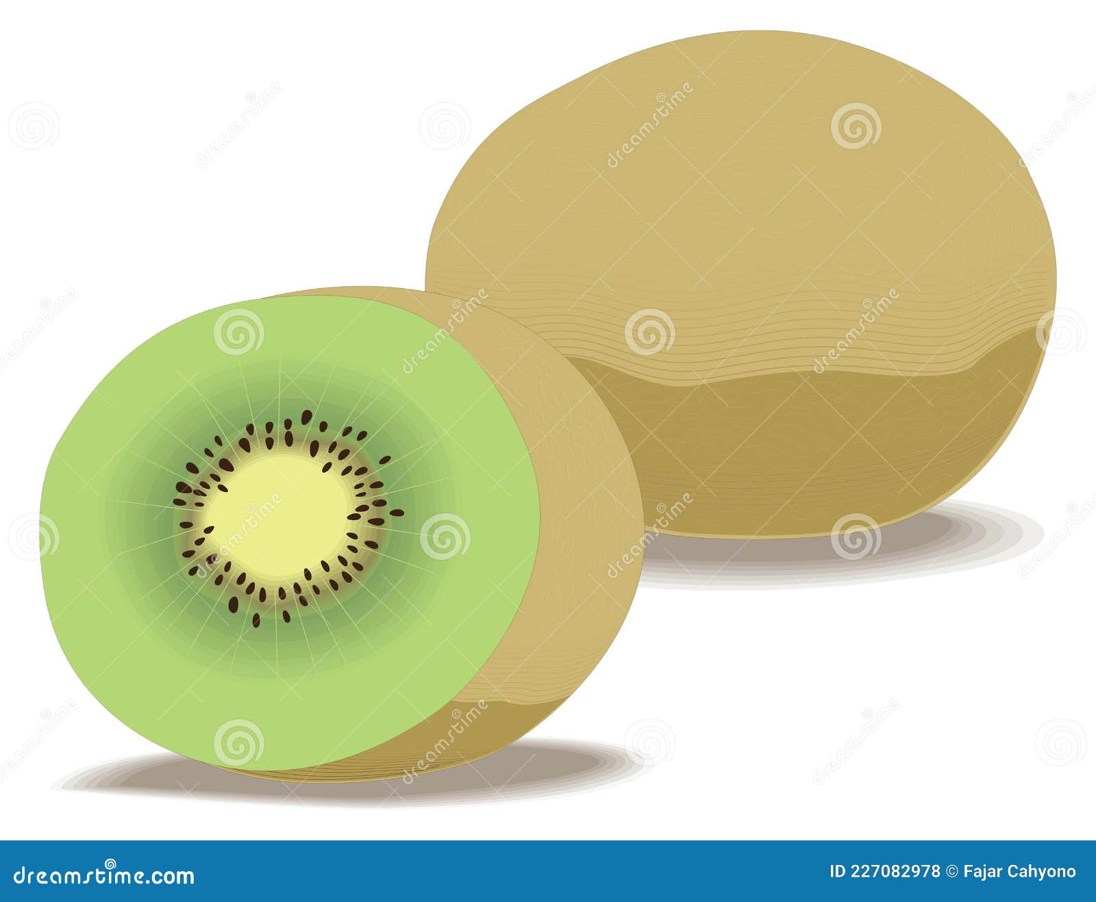 Tela De Fundo Transparente Do Vetor Kiwi Ilustração do Vetor - Ilustração de colorido, flor: 227082978 Tela De Fundo Transparente Do Vetor Kiwi Ilustração do Vetor - Ilustração de colorido, flor: 227082978