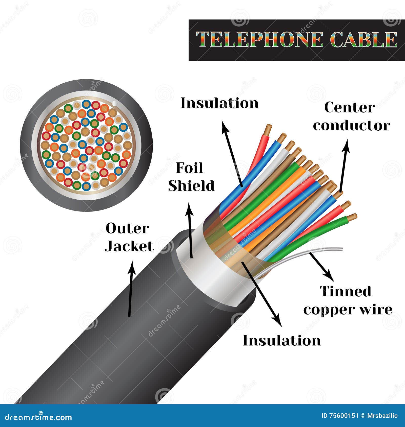 Telephone Cable Structure. Kind of an Electric Cable Stock Vector