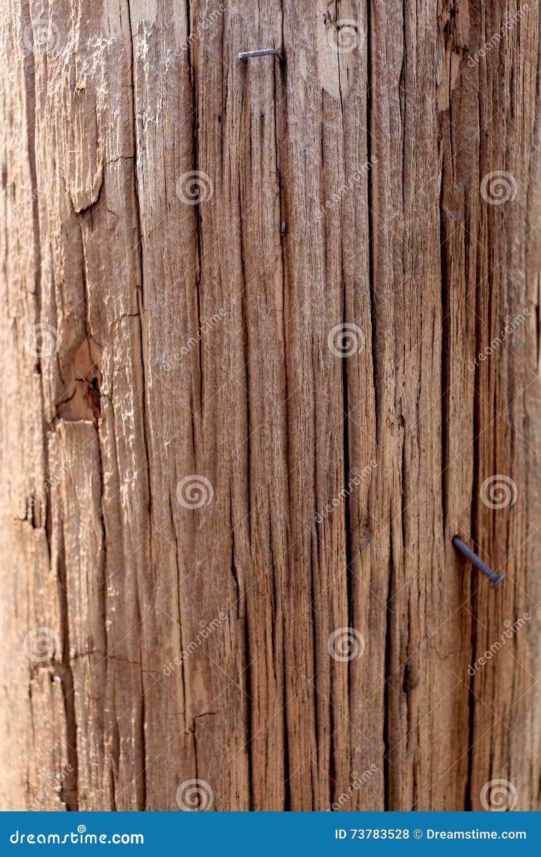 Telephone Pole stock photo. Image of staples, pole, background 73783528