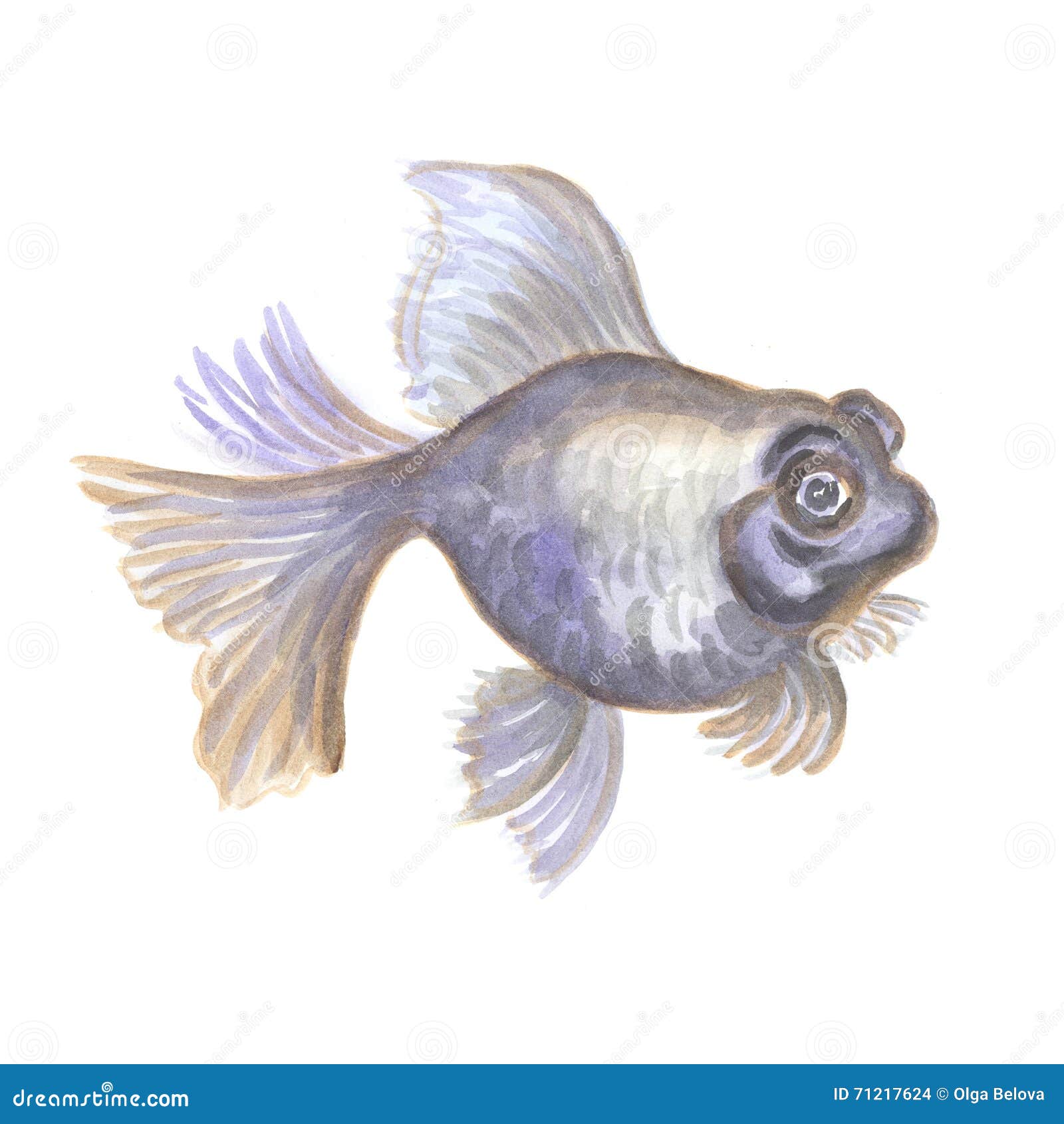 telescope fish price telescope fish price