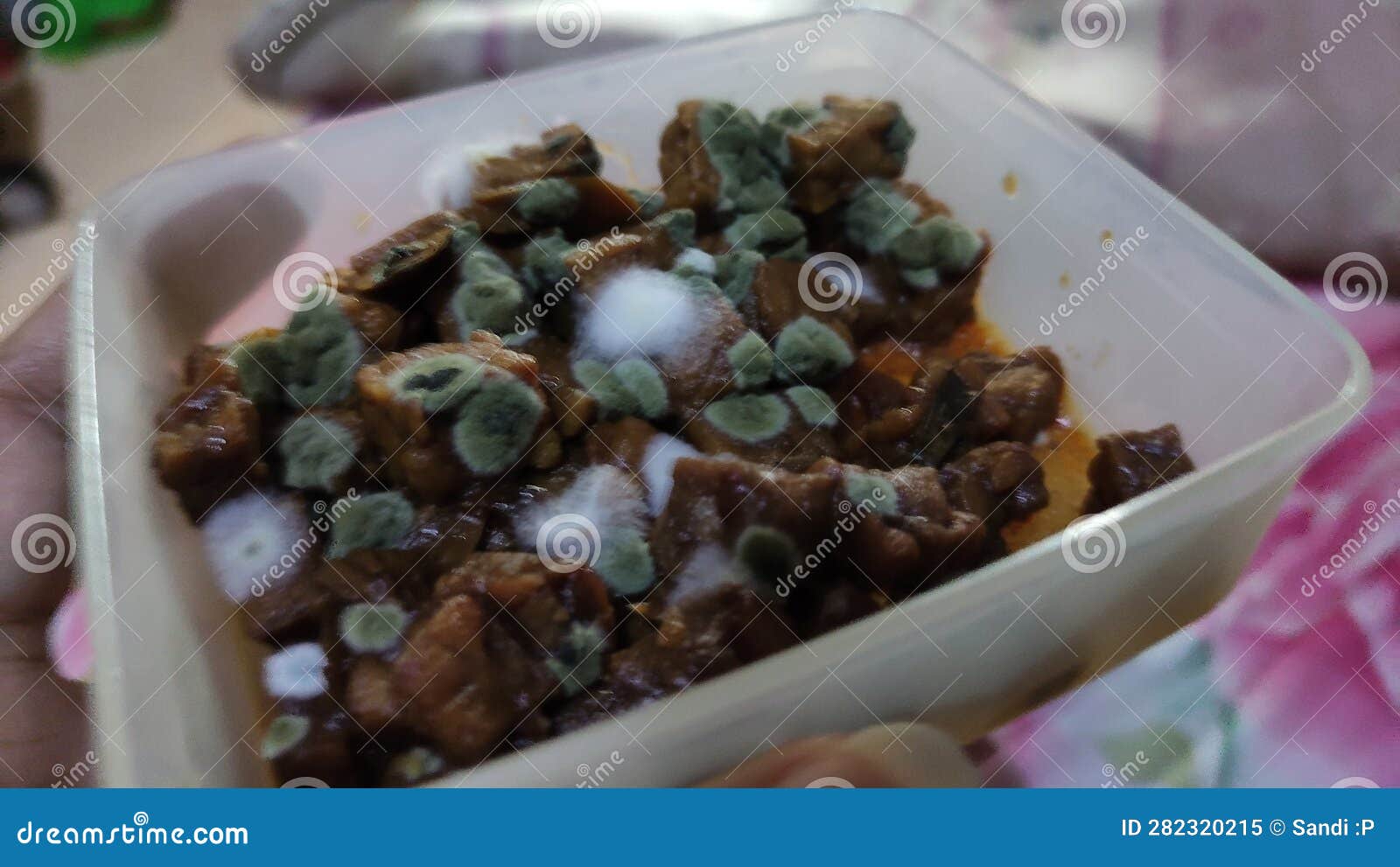 Tempe Orek Jamuran Fungus stock image. Image of fungus 282320215