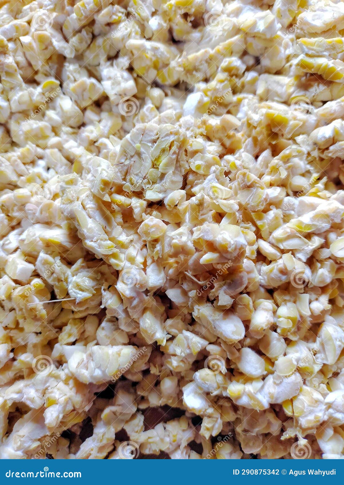 This Tempeh is Made from Soybeans and is Ready To Be Cooked Stock Photo