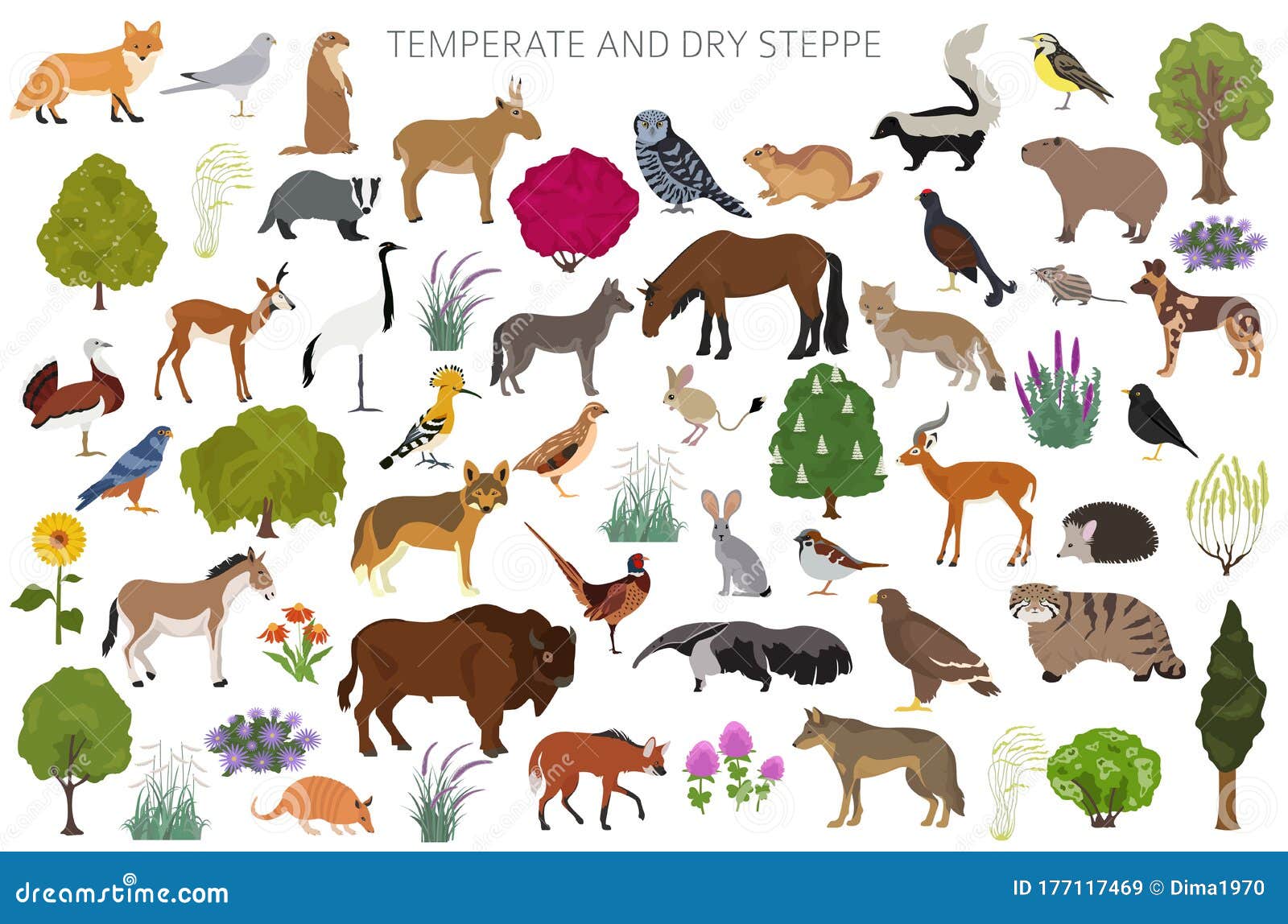 Temperate and Dry Steppe Biome, Natural Region Infographic. Prarie, Steppe,  Grassland, Pampas. Terrestrial Ecosystem World Map Stock Vector -  Illustration of corsac, buffalo: 177117469