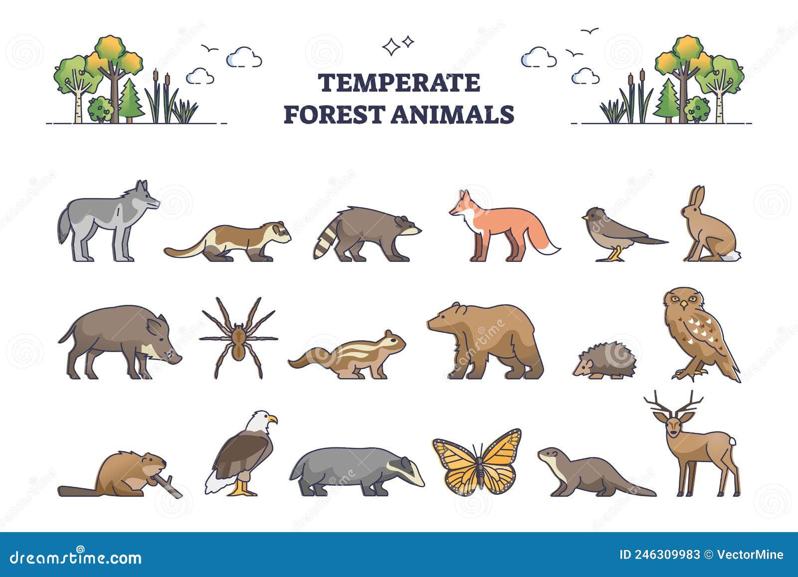 Animal Habitats Temperate Stock Illustrations – 7 Animal Habitats Temperate  Stock Illustrations, Vectors & Clipart - Dreamstime