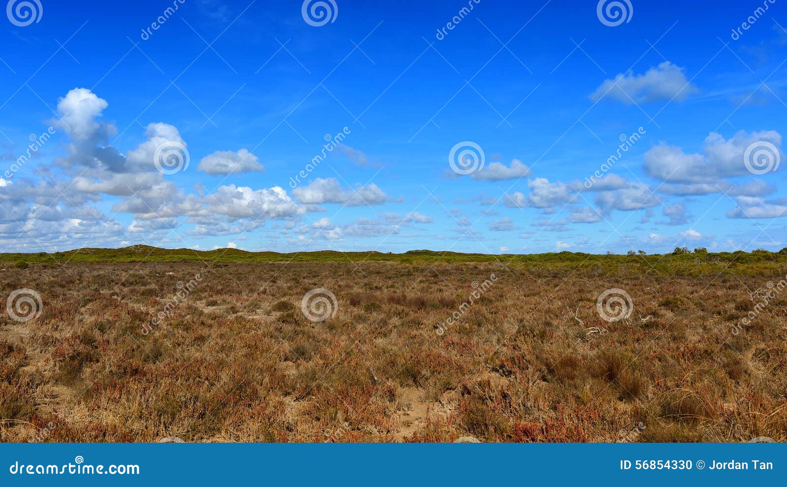 temperate grassland near cervantes