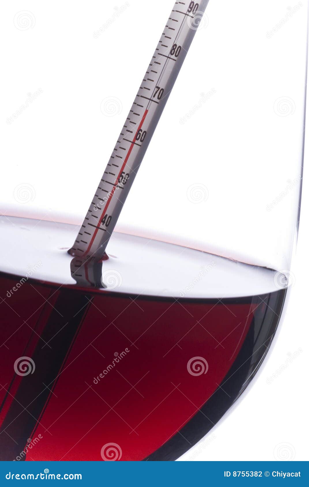 Temperatura Di Misurazione Del Vino Rosso Con Un Termometro Fotografia  Stock - Immagine di bianco, termometro: 8755382