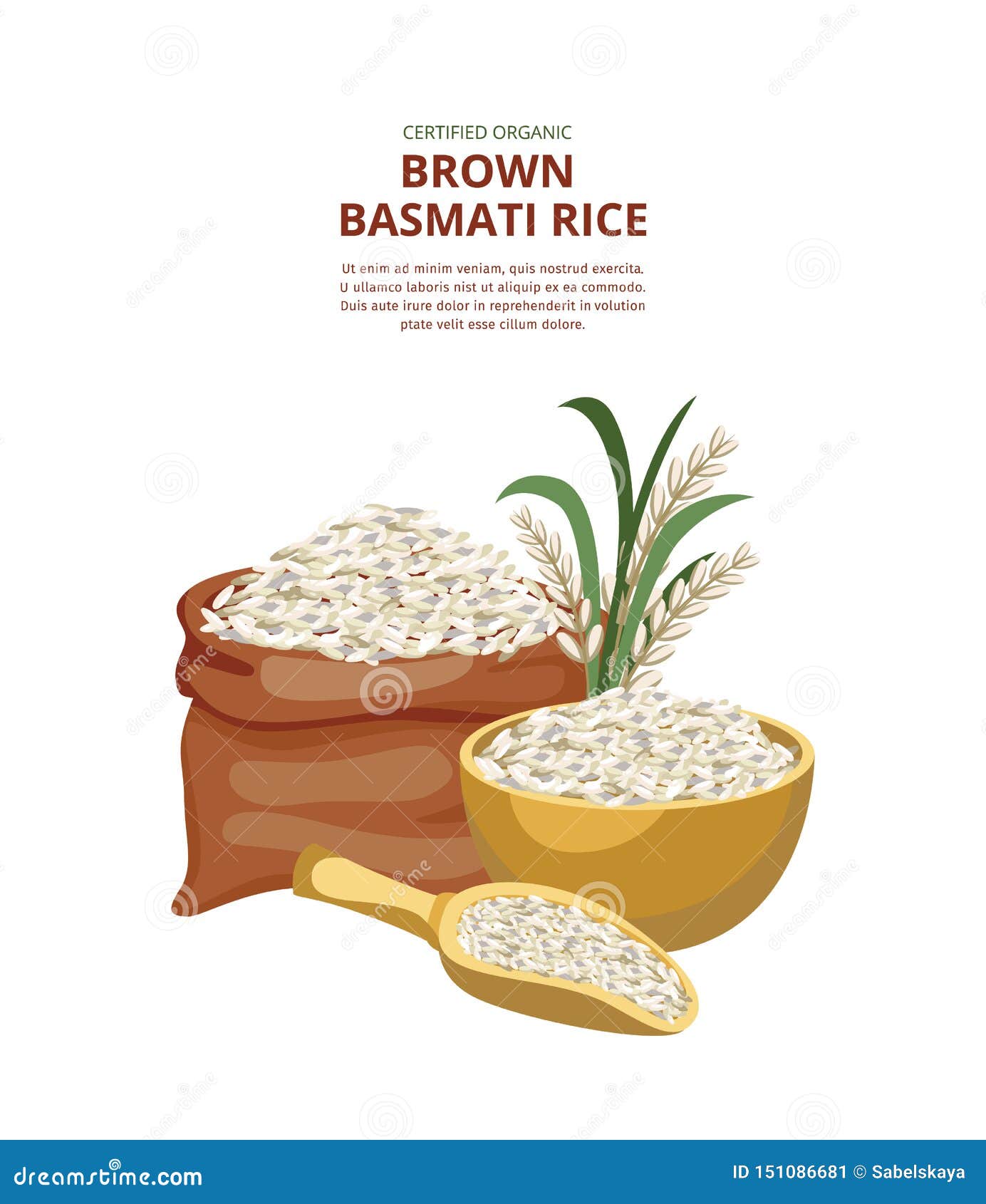 Download Template For The Brown Rice Pack With The Rice Cereal Flat Vector Illustration Stock Vector Illustration Of Healthy Background 151086681