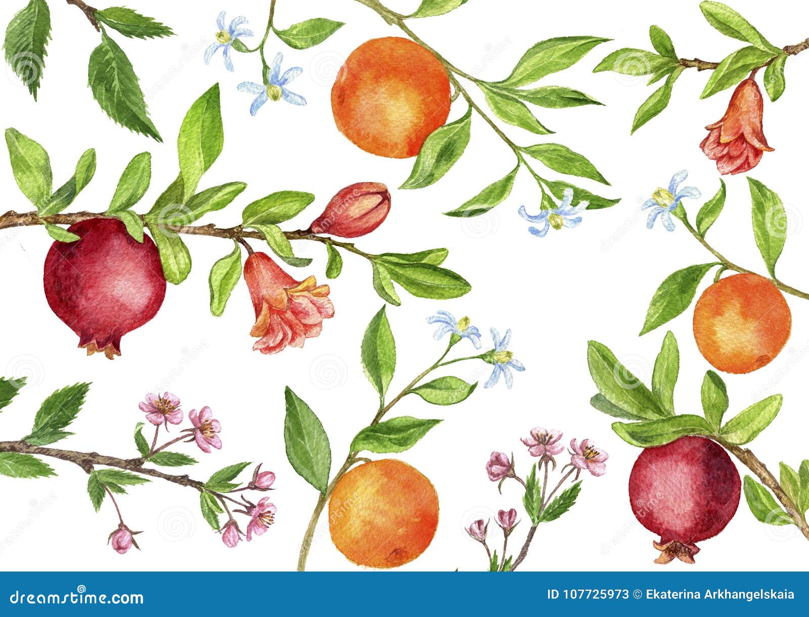 Template With Fruit Tree Branches Leaves Flowers And Berries Stock Illustration Illustration Of Design Floral Template With Fruit Tree Branches Leaves Flowers And Berries Stock Illustration Illustration Of Design Floral