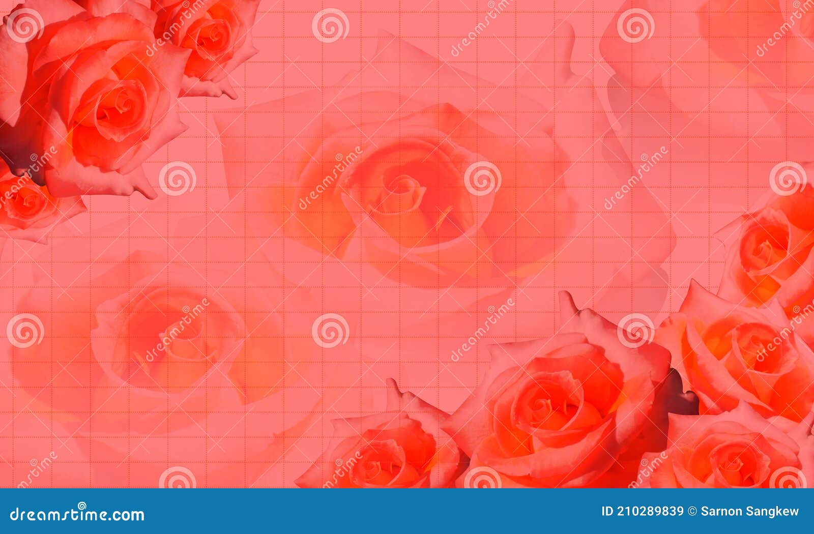 Template Red and Pink Roses Background, Background, Name Card, Copy