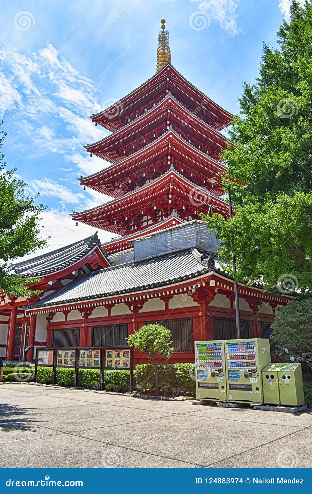 Temple Sakura de Kiyomizu-dera à Kyoto, Japon, ARBRE EN BOIS de JARDIN