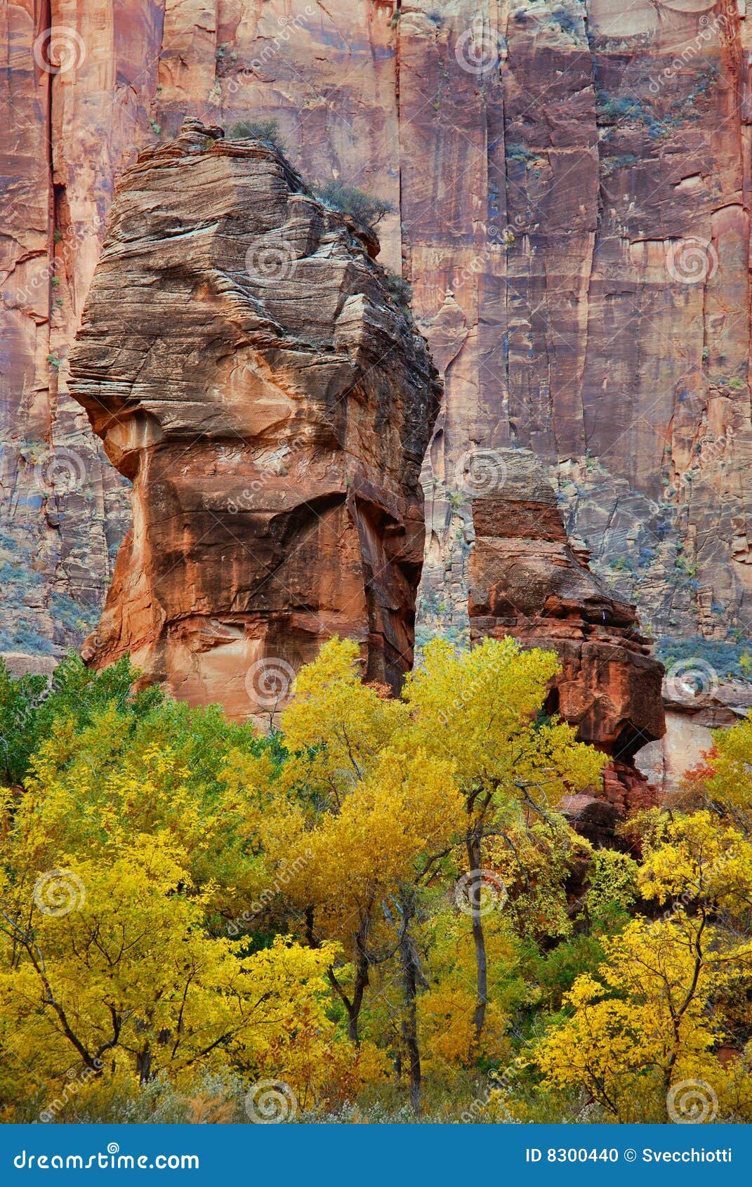 Temple of Sinawava, Zion stock photo. Image of southwest - 8300440