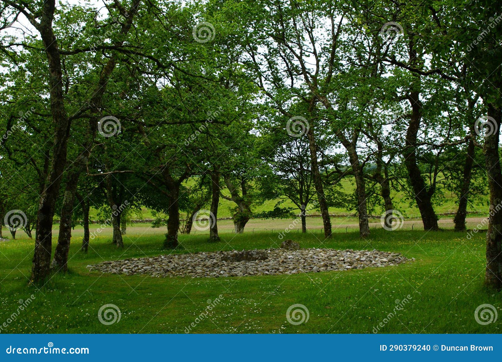 temple wood neolithic stone circles and burial grave, kilmartin glen, near oban, argyll, scotland