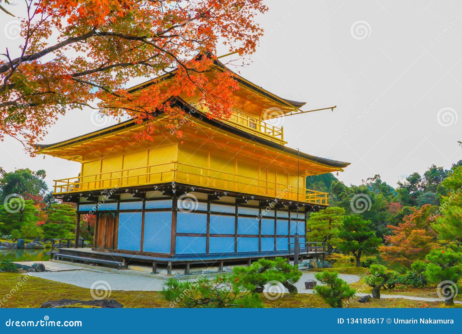 Templo De Kinkaku Ji Do Pavilhao Dourado Imagem De Stock Imagem De Oriental Dourado