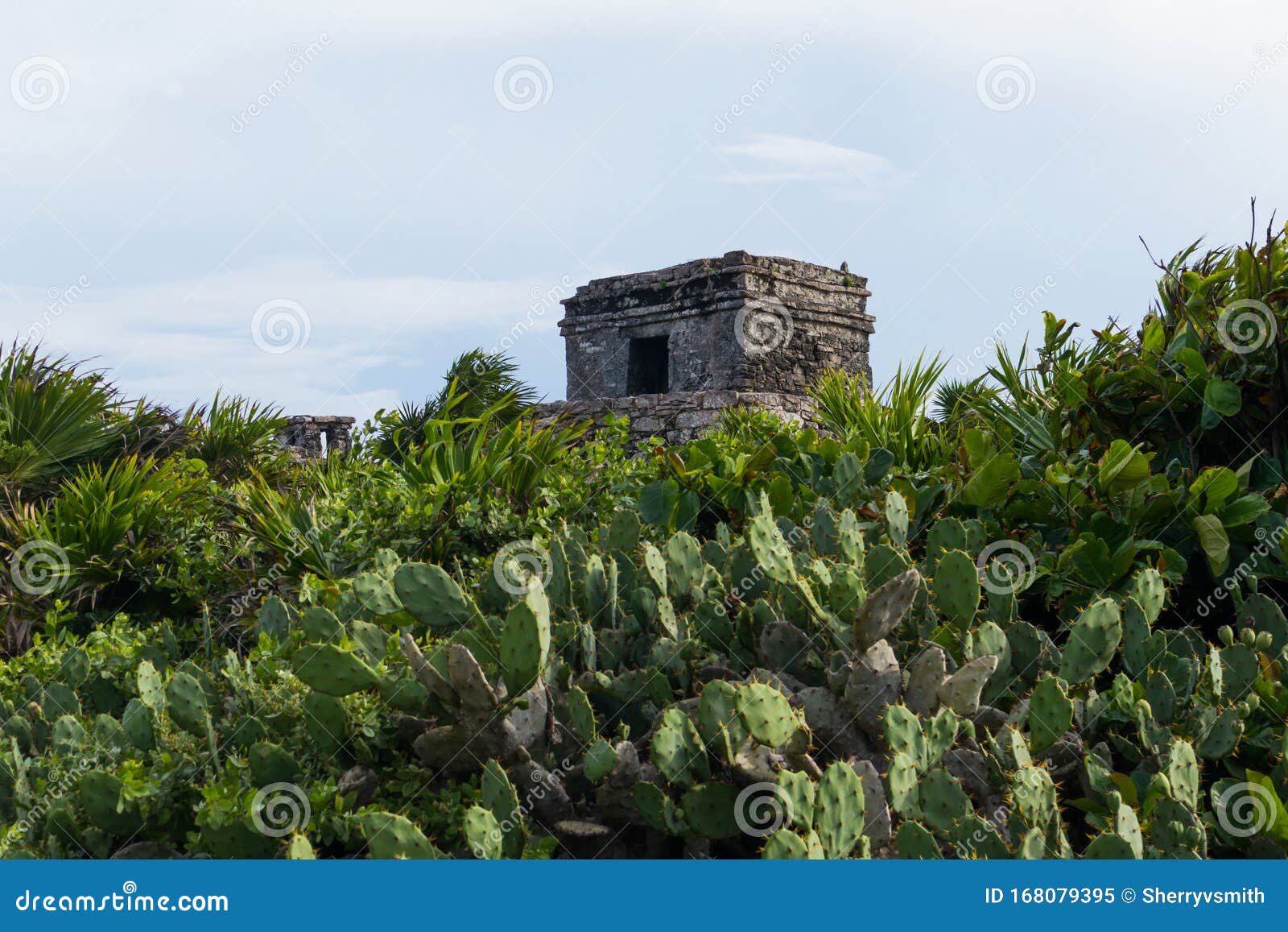 templo del dios viento mayan ruins