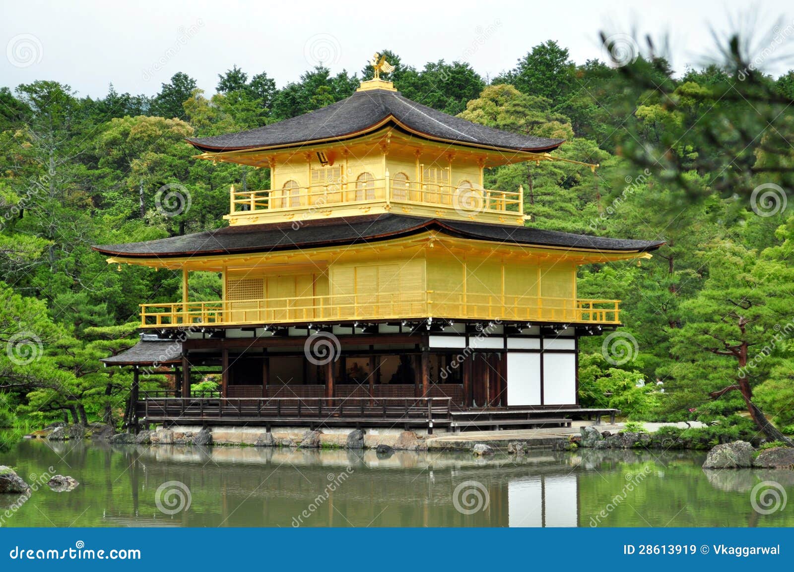 Templo Do Pavilhao Dourado Kyoto Imagem De Stock Imagem De Parque Bonito