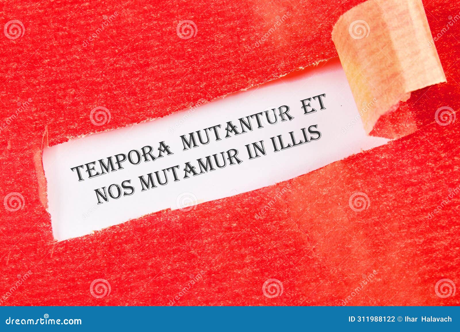 tempora mutantur et nos mutamur in illis translated from latin, it means times