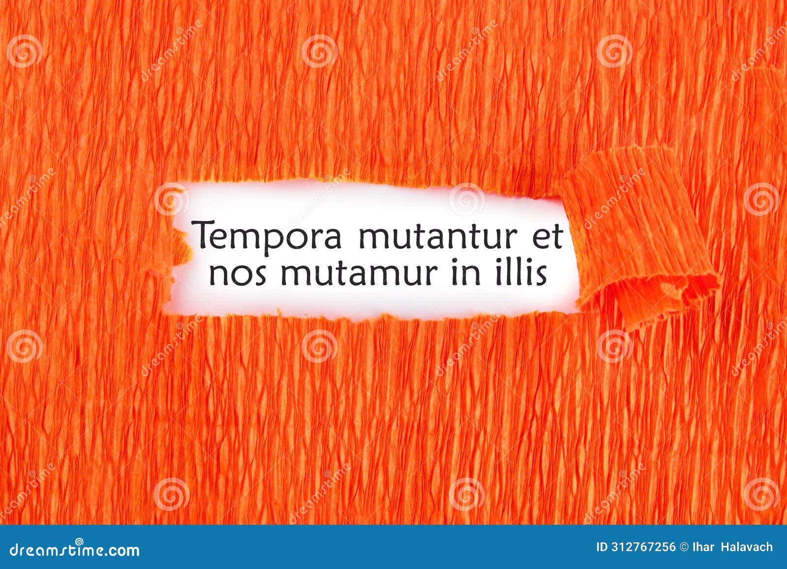 tempora mutantur et nos mutamur in illis translated from latin
