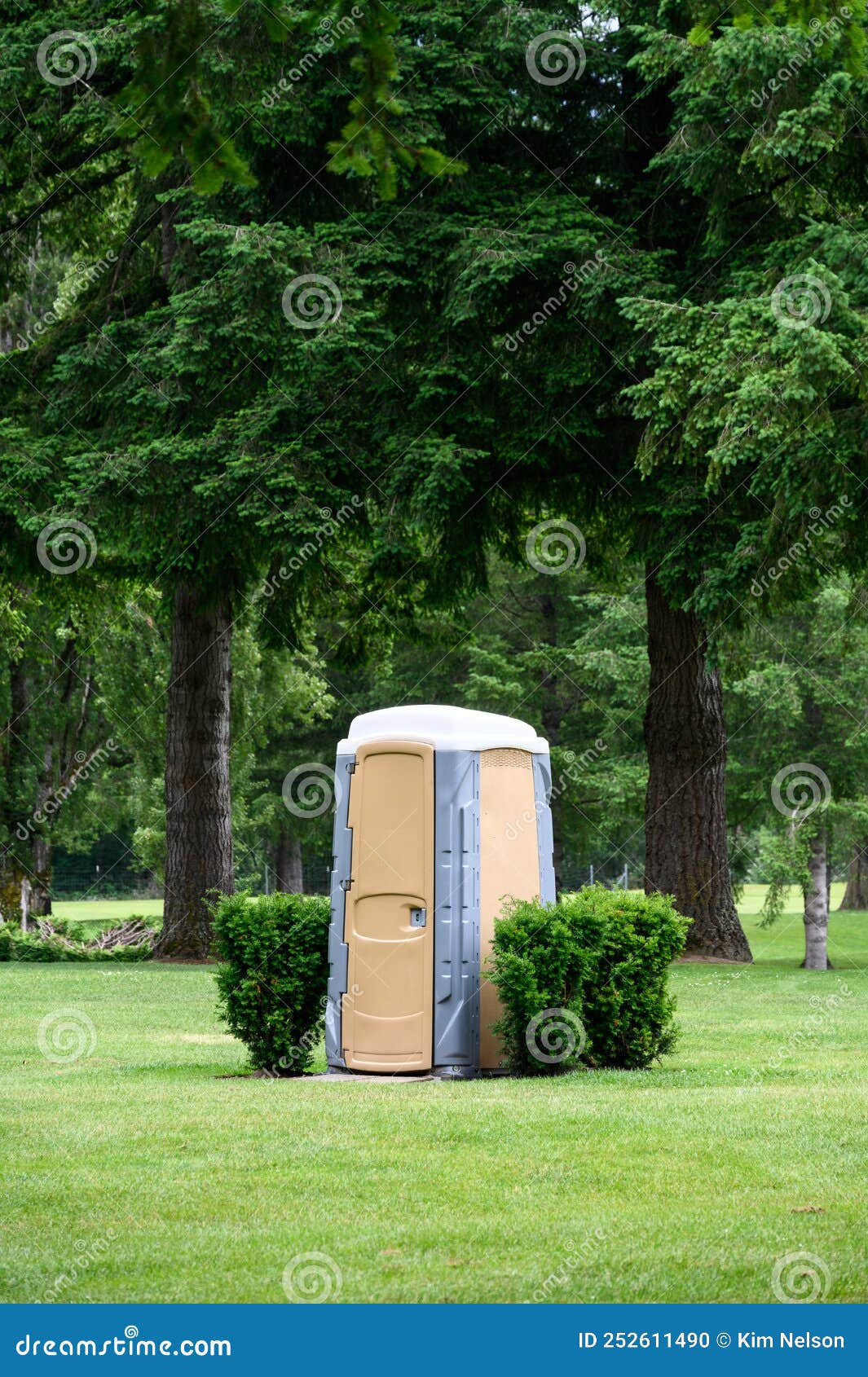 Temporary Plastic Outhouse in a Park Like Setting Stock Photo Image