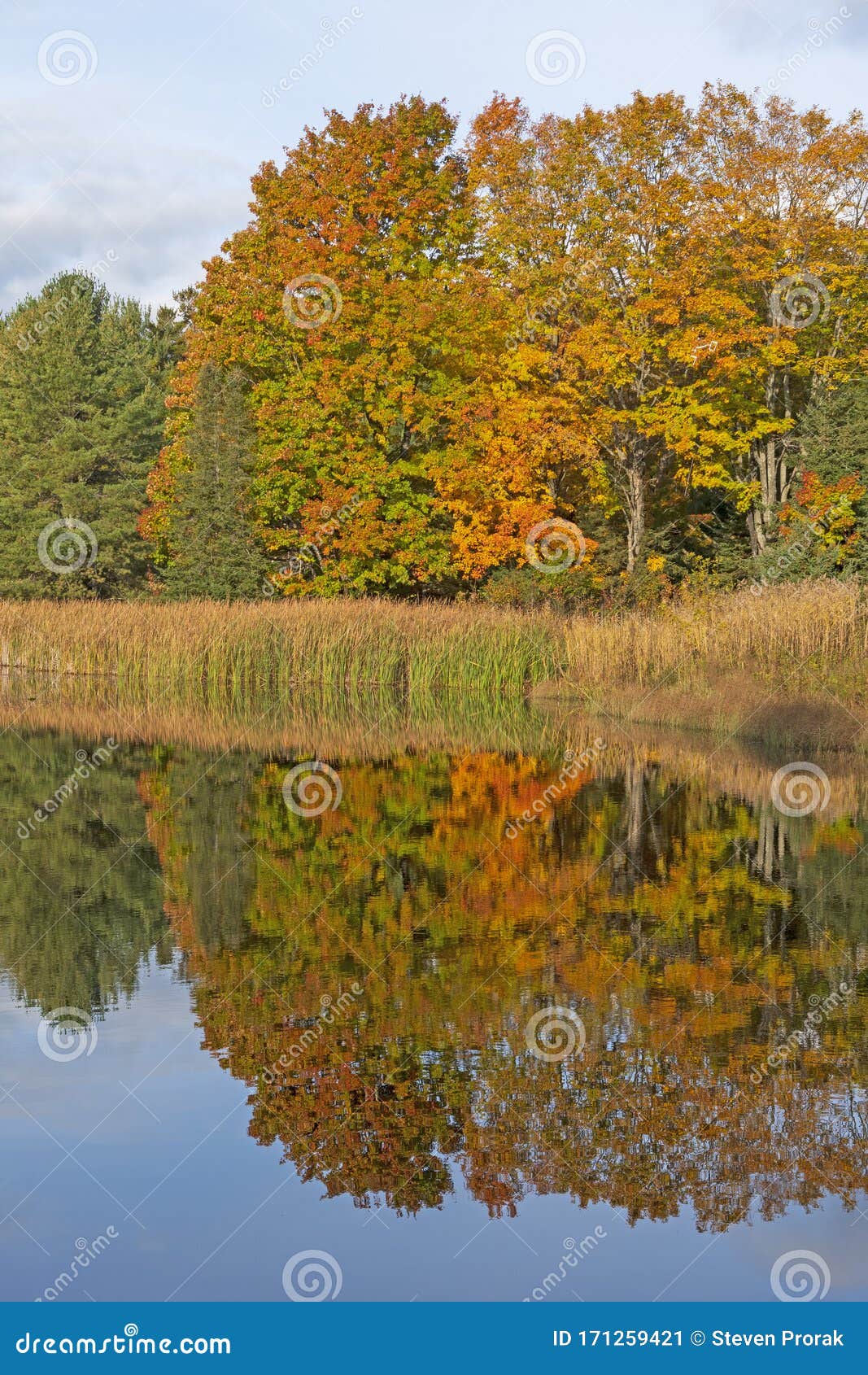 Temprano Por La Mañana Reflexiones En Otoño Imagen de archivo - Imagen de travieso, cubo: 171259421 Temprano Por La Mañana Reflexiones En Otoño Imagen de archivo - Imagen de travieso, cubo: 171259421