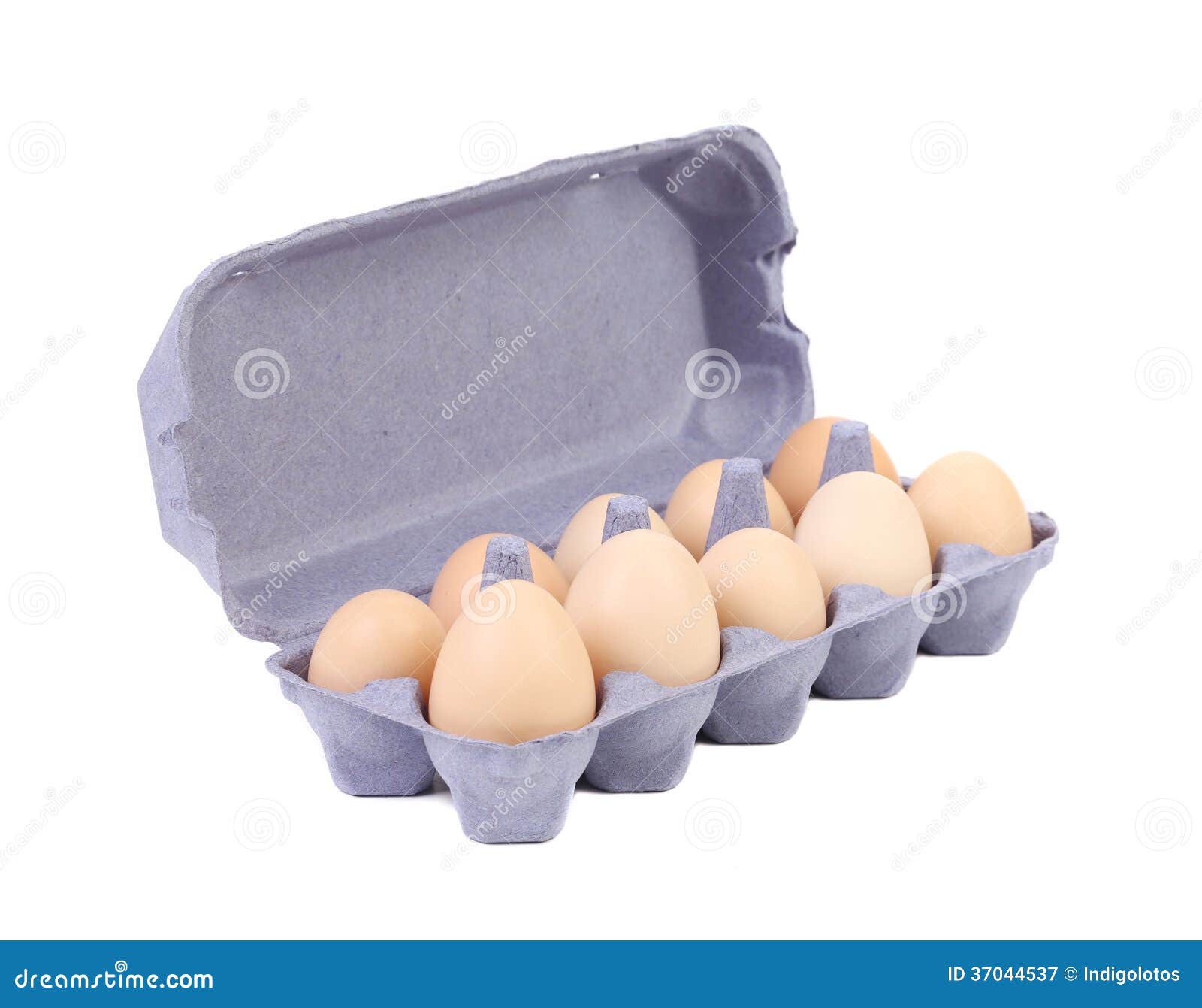 Ten Eggs in a Blue Carton Box. Stock Image Image of life, poultry