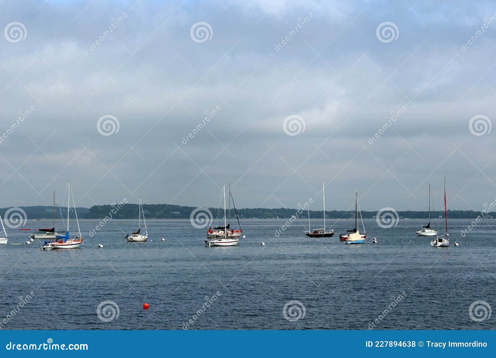 ten sailboats anchored out on lake mendota with kayakers in the background in madison, wisonsin