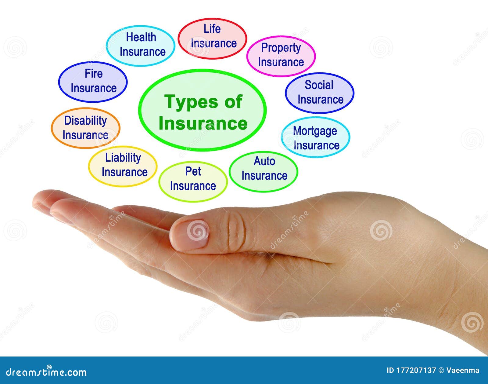 Insurance Agency In Houston