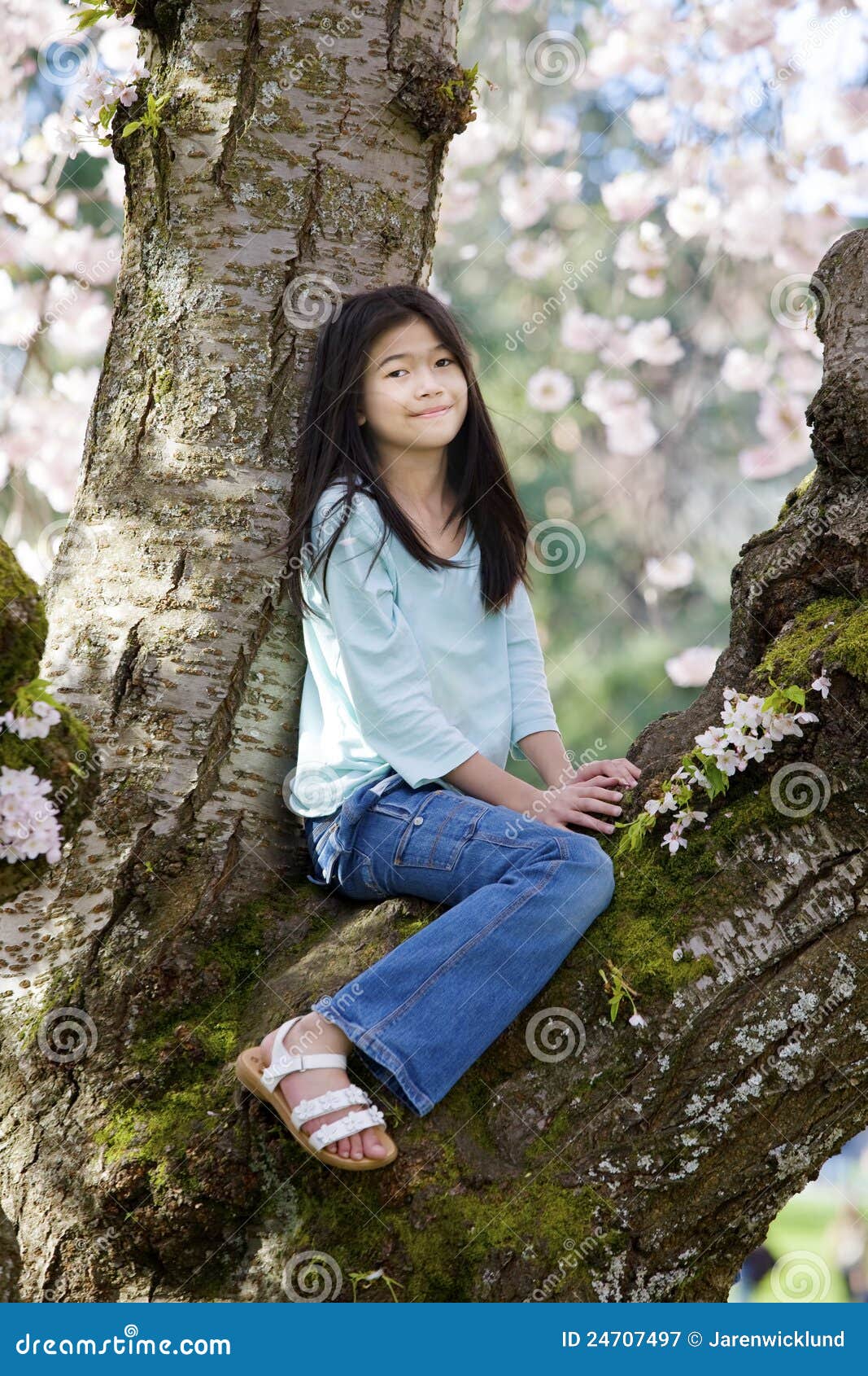 Ten Year Old Girl Sitting in Cherry Tree Stock Image Image of tree
