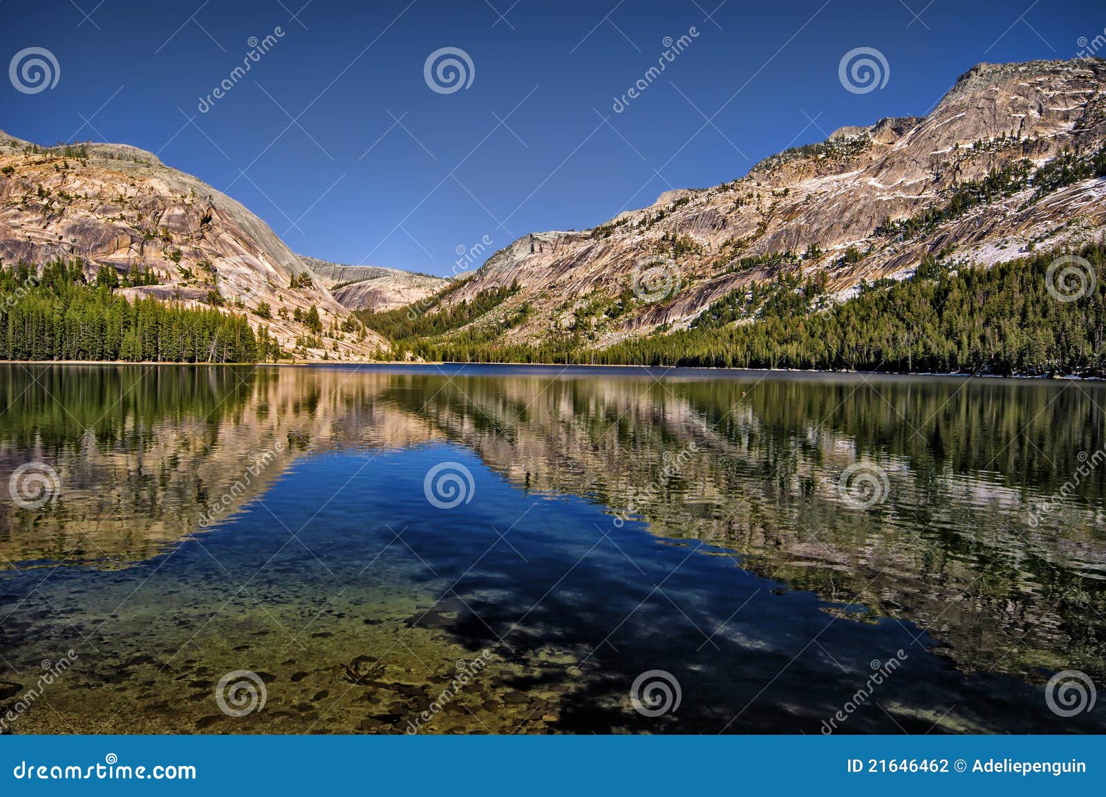 tenaya lake, yosemite california