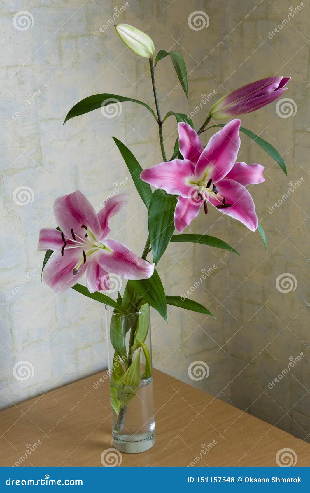Tender Big Pink Flowers Lily Is Standing In The Glasses tender big pink flowers lily standing glasses vase table room light color walls tender big pink