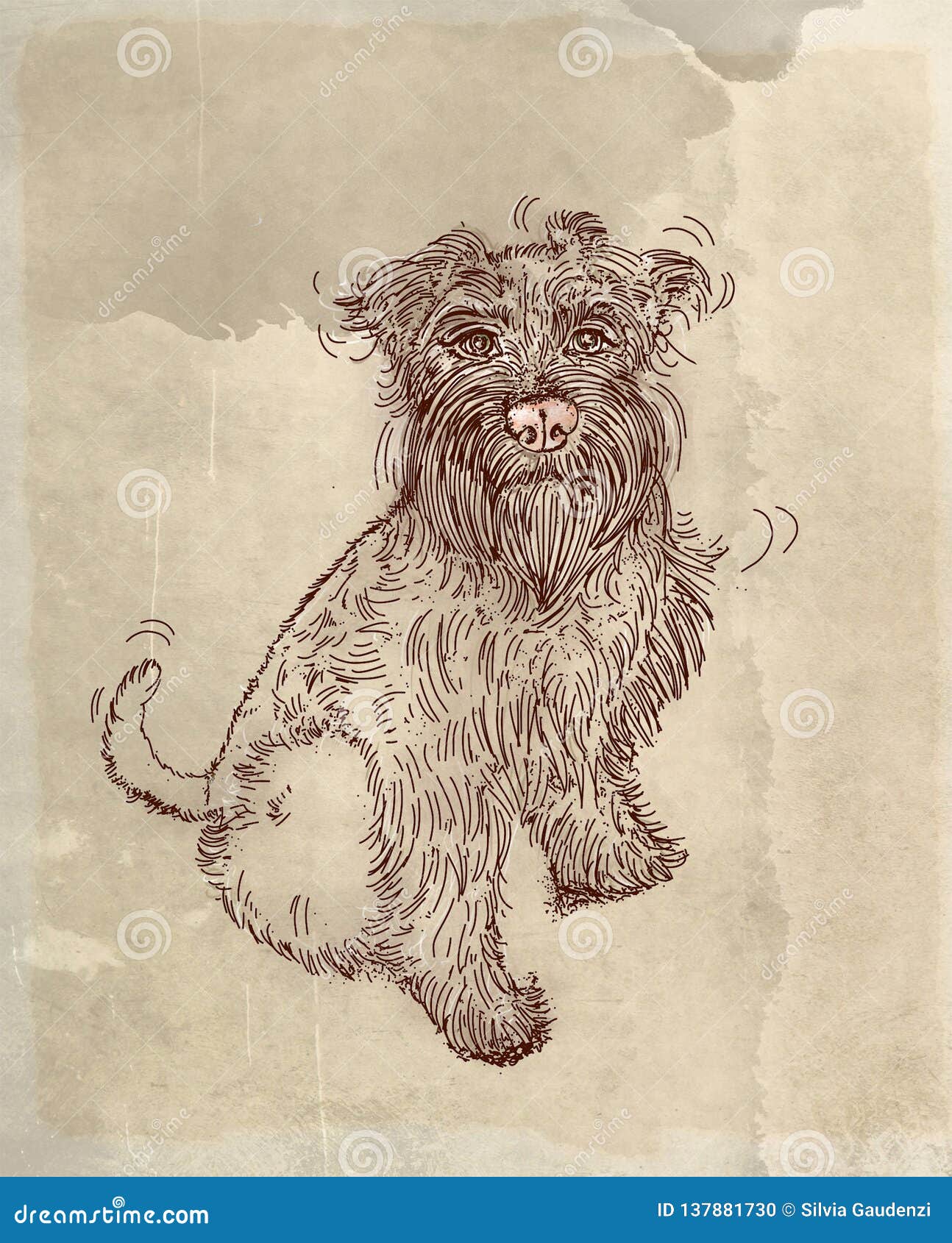 Tender Dog,a Small Tender Dog Stock Illustration Illustration of