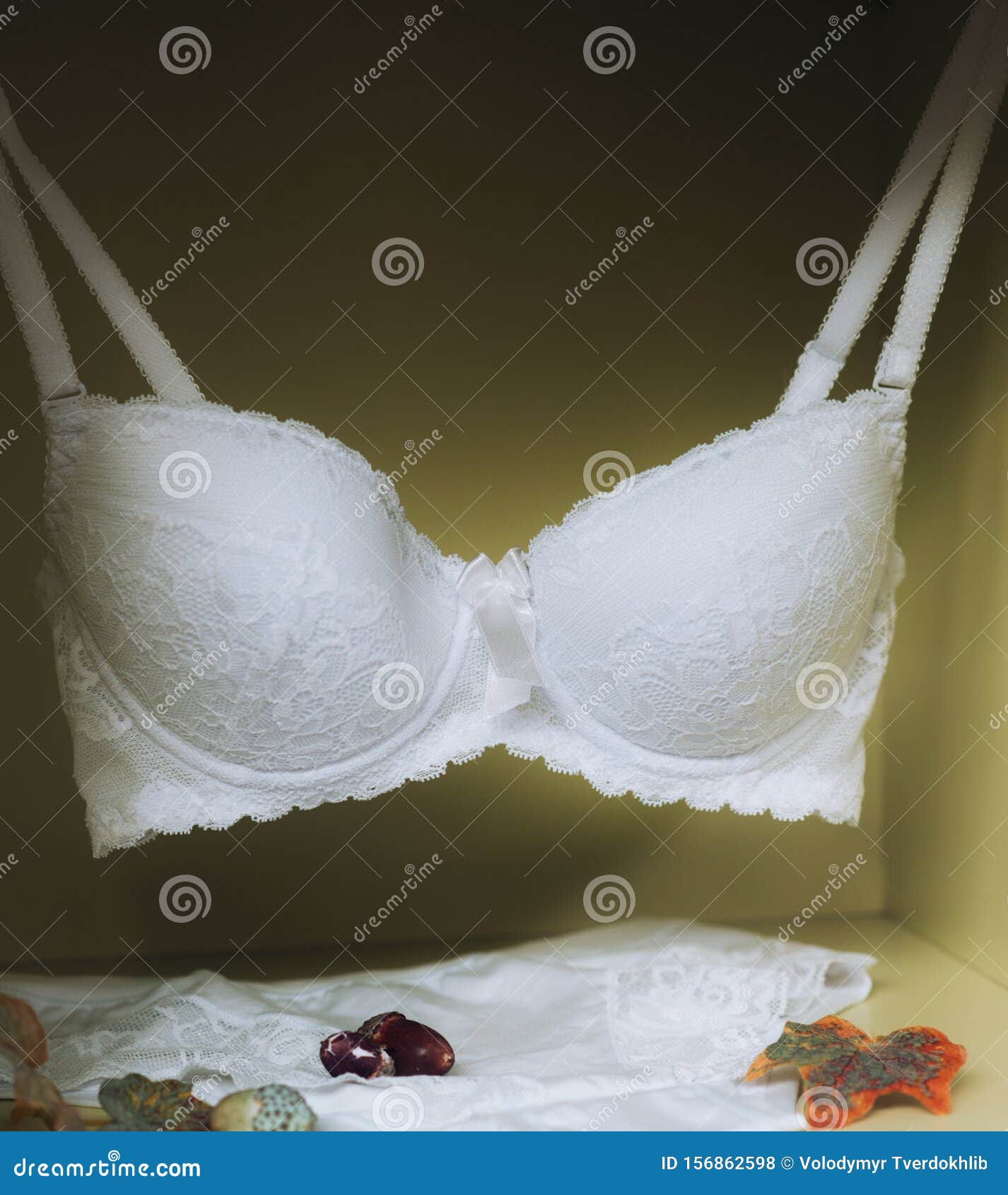 Tender Female Underwear, Brassiere and Panties. Fashionable