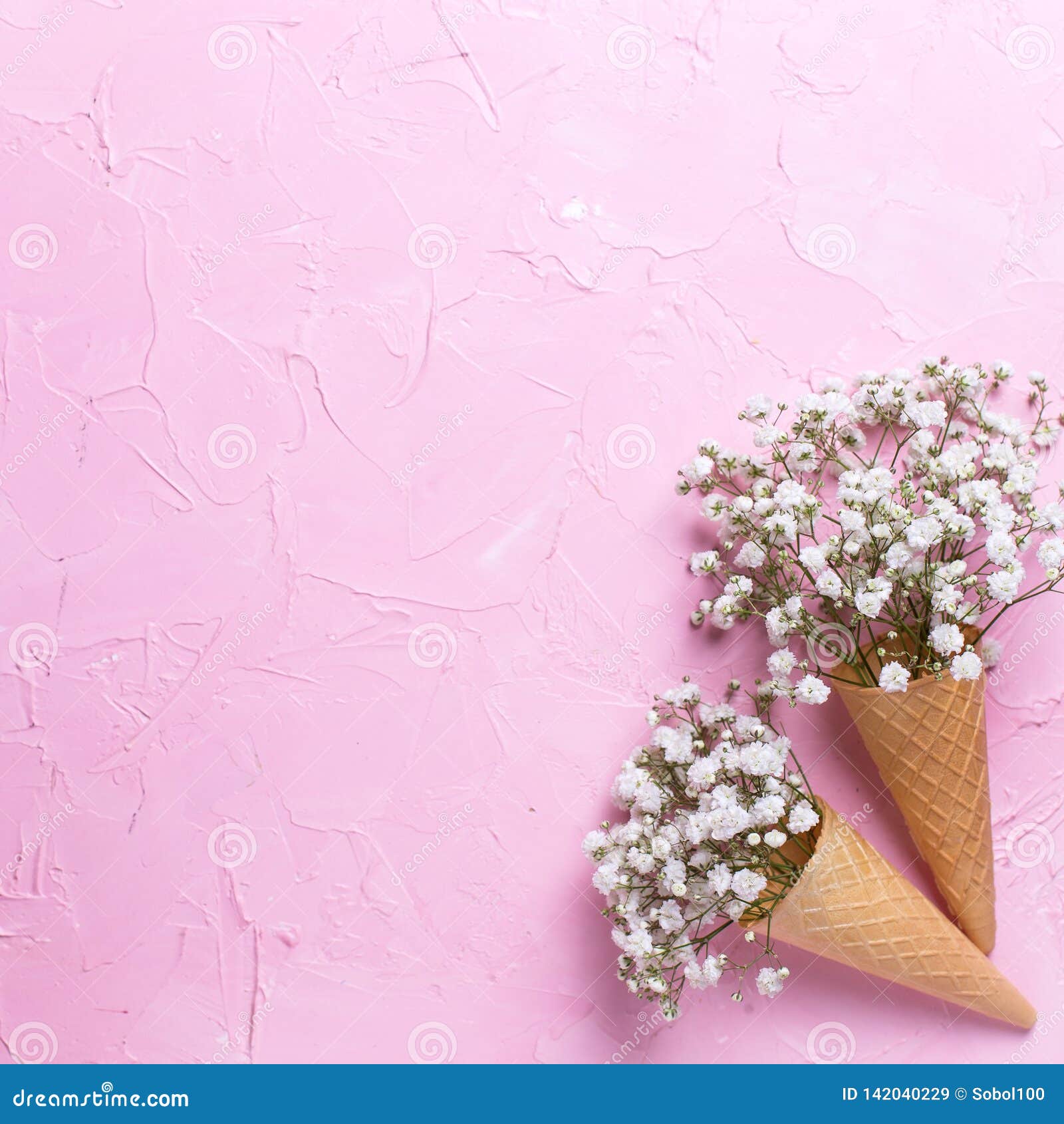 tender fresh white gypsofila flowers in waffle cones on pink textured background