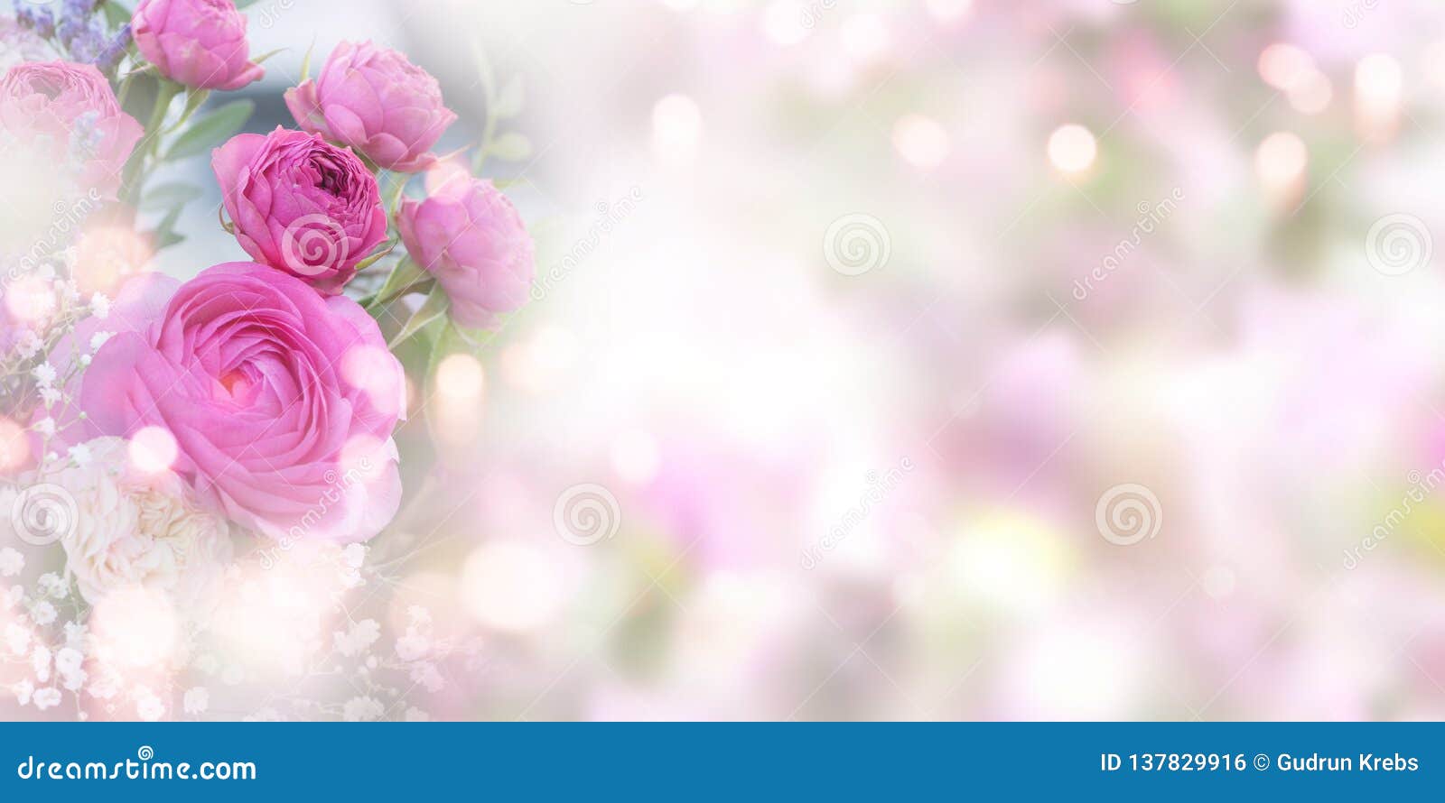 tender pink roses background