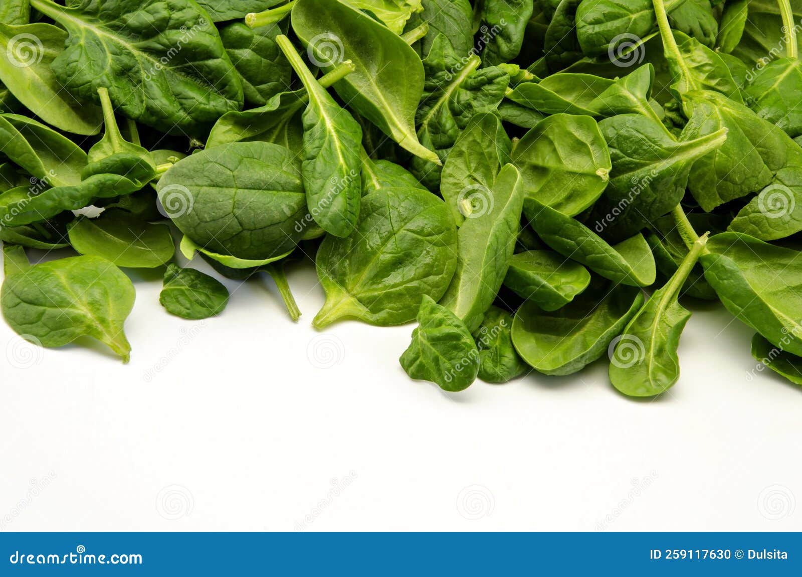 Vegetables fresh spinach stock photo. Image of green - 259117630