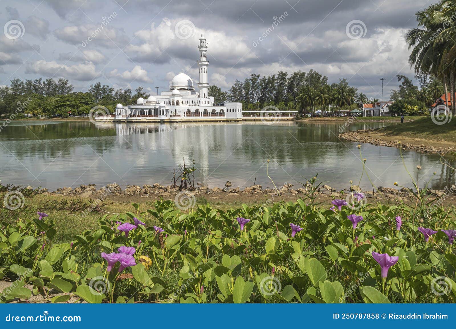 lake side flowering vegetation with kuala ibai floating mosque and its reflection in the background.