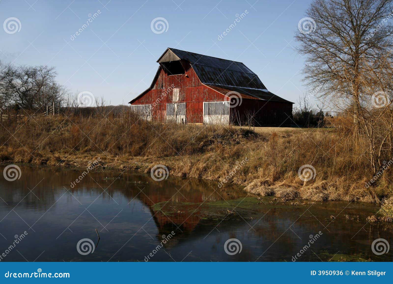 Tennessee Farm Scenes stock photo. Image of agriculture - 3950936