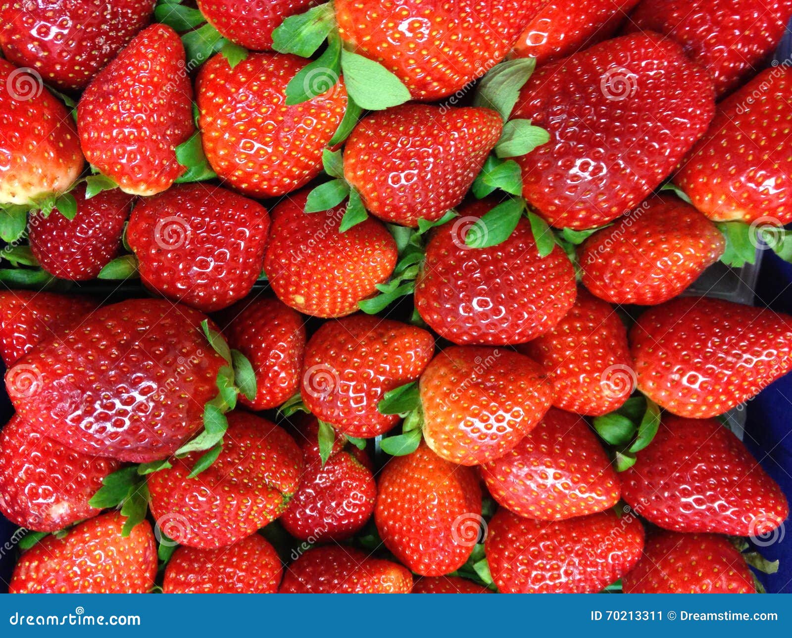 Tennessee strawberries stock image. Image of flat, tennessee 70213311