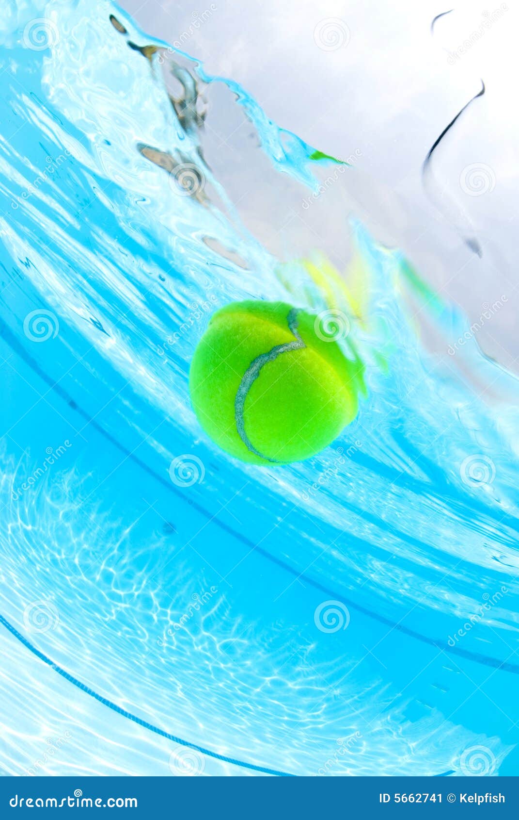 Tennis Ball Floating in Swimming Pool Stock Image Image of cool