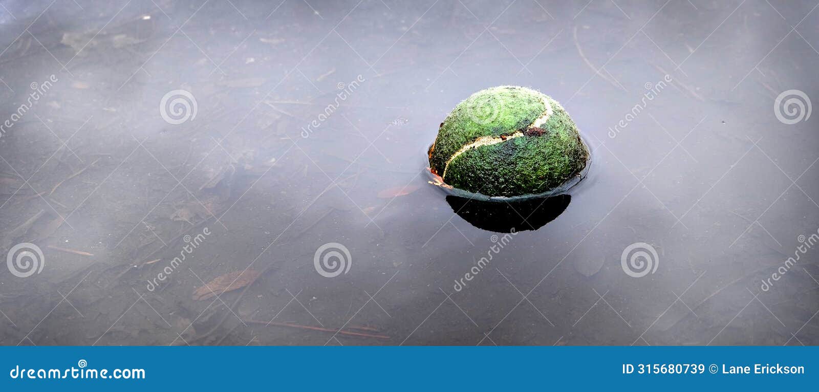 tennis ball floating in water sports forgotten abandoned