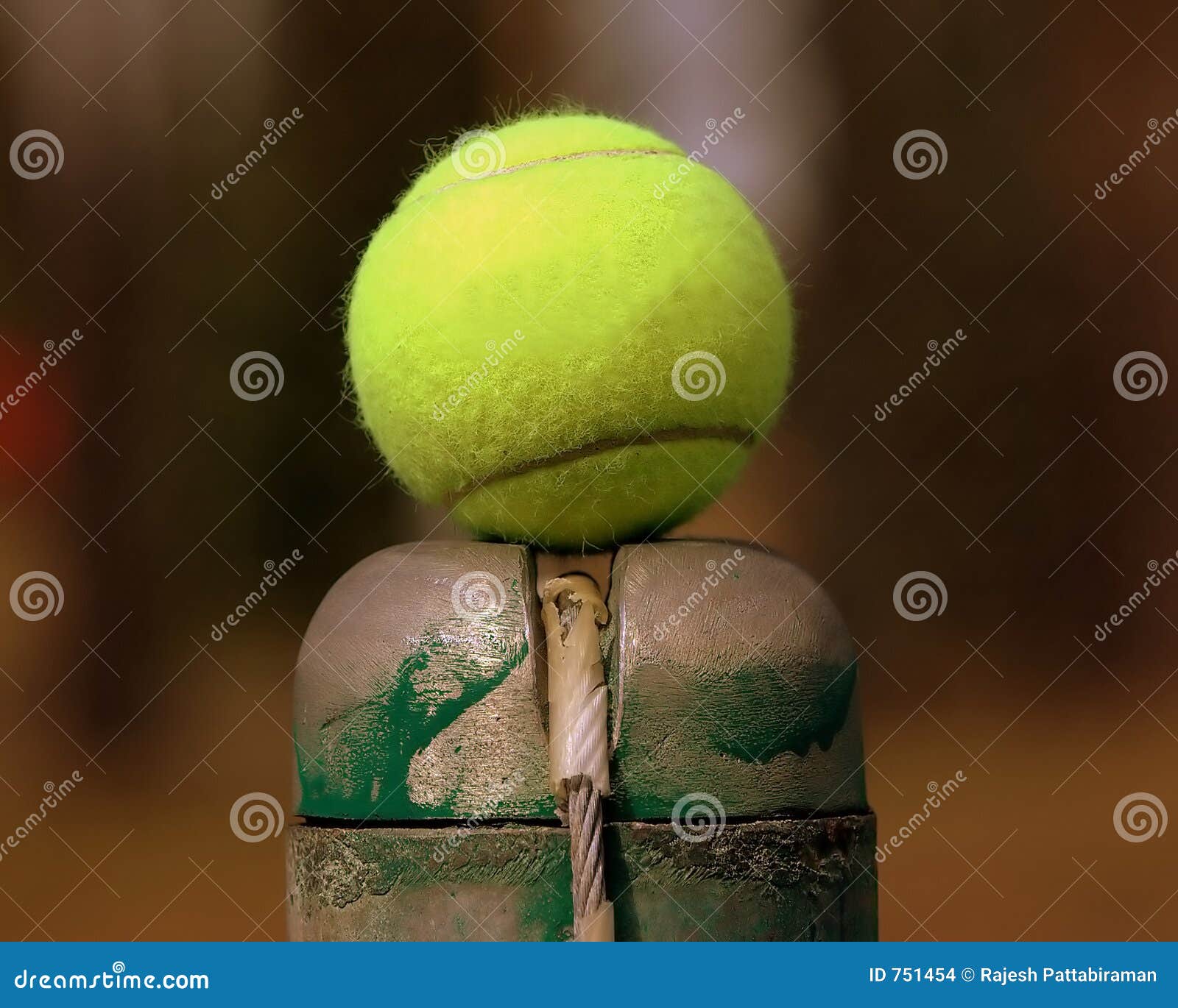 My Image 20