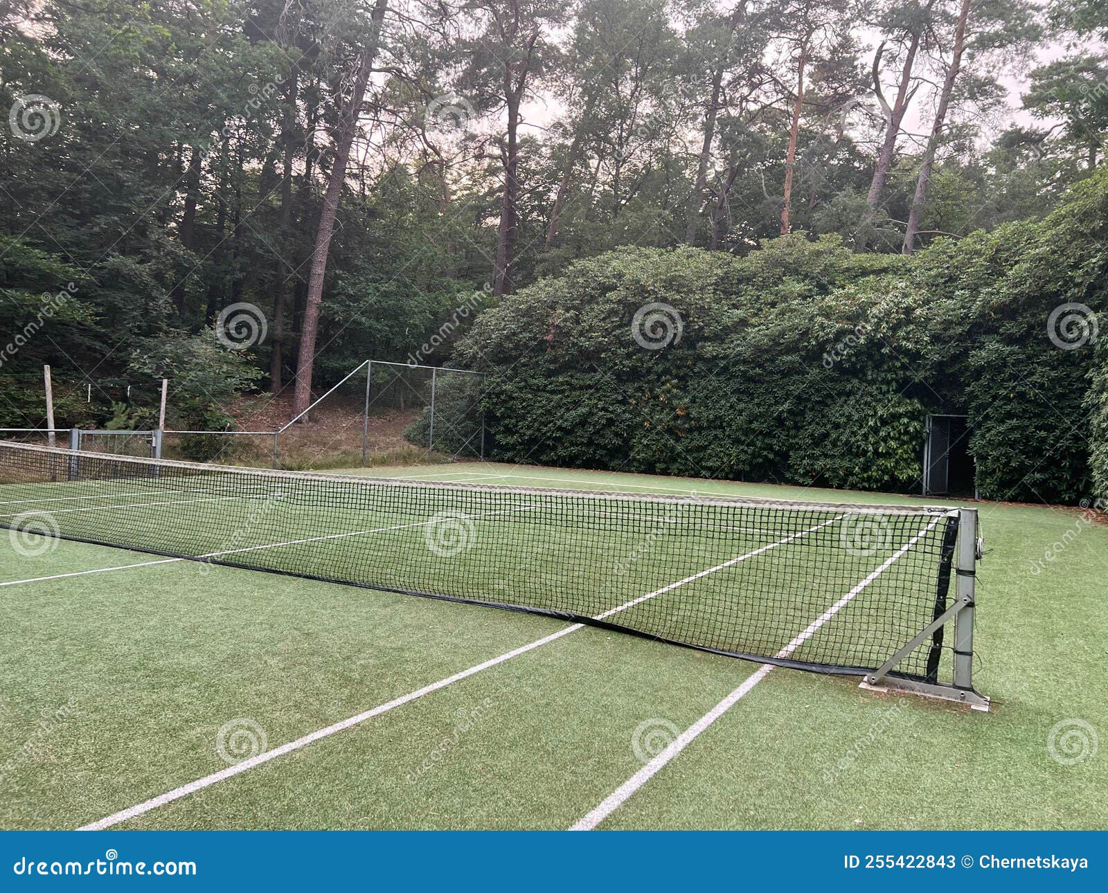 Tennis Court with Green Grass and Net Outdoors Stock Image Image of