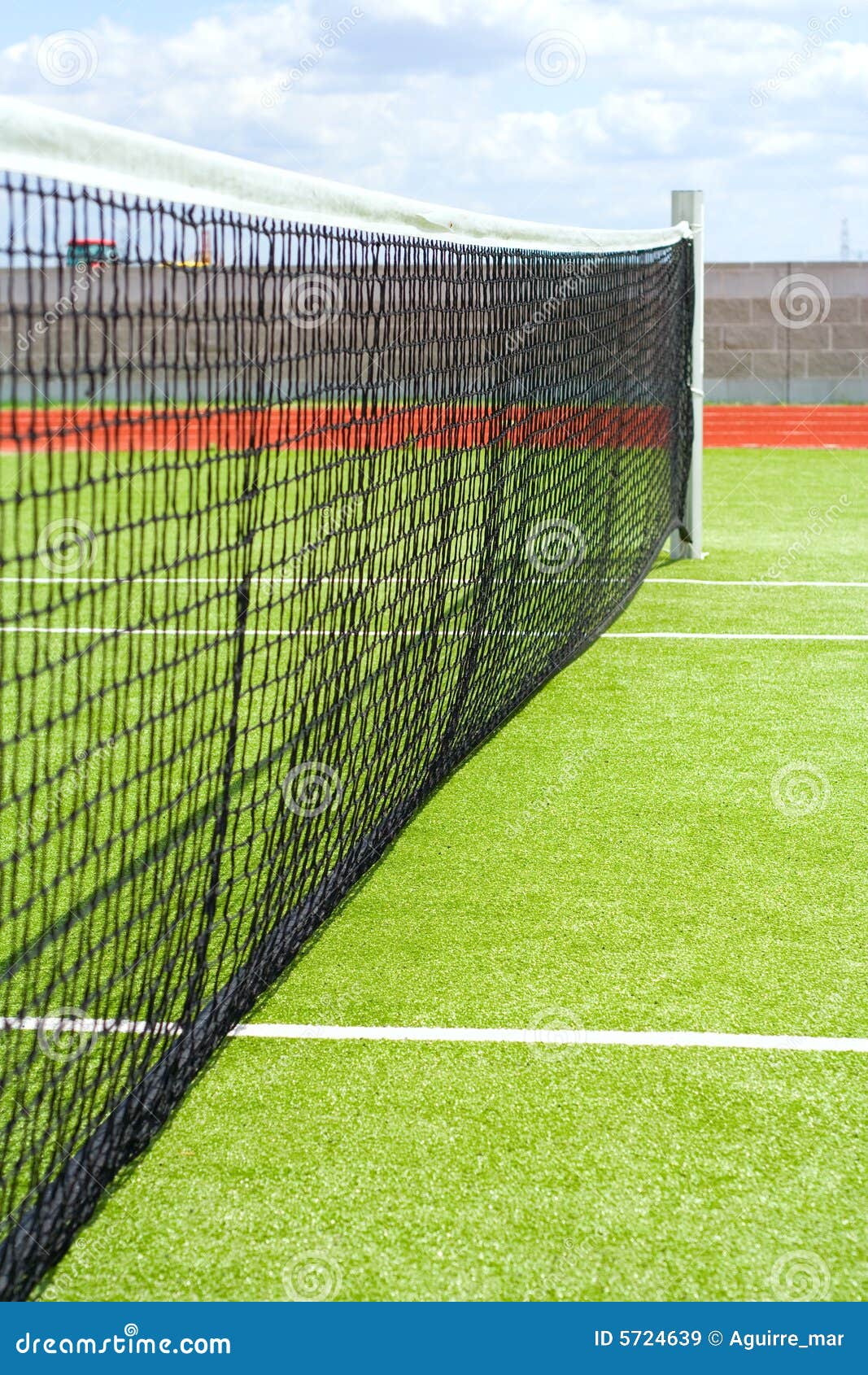 Mesh on the grassy tennis field