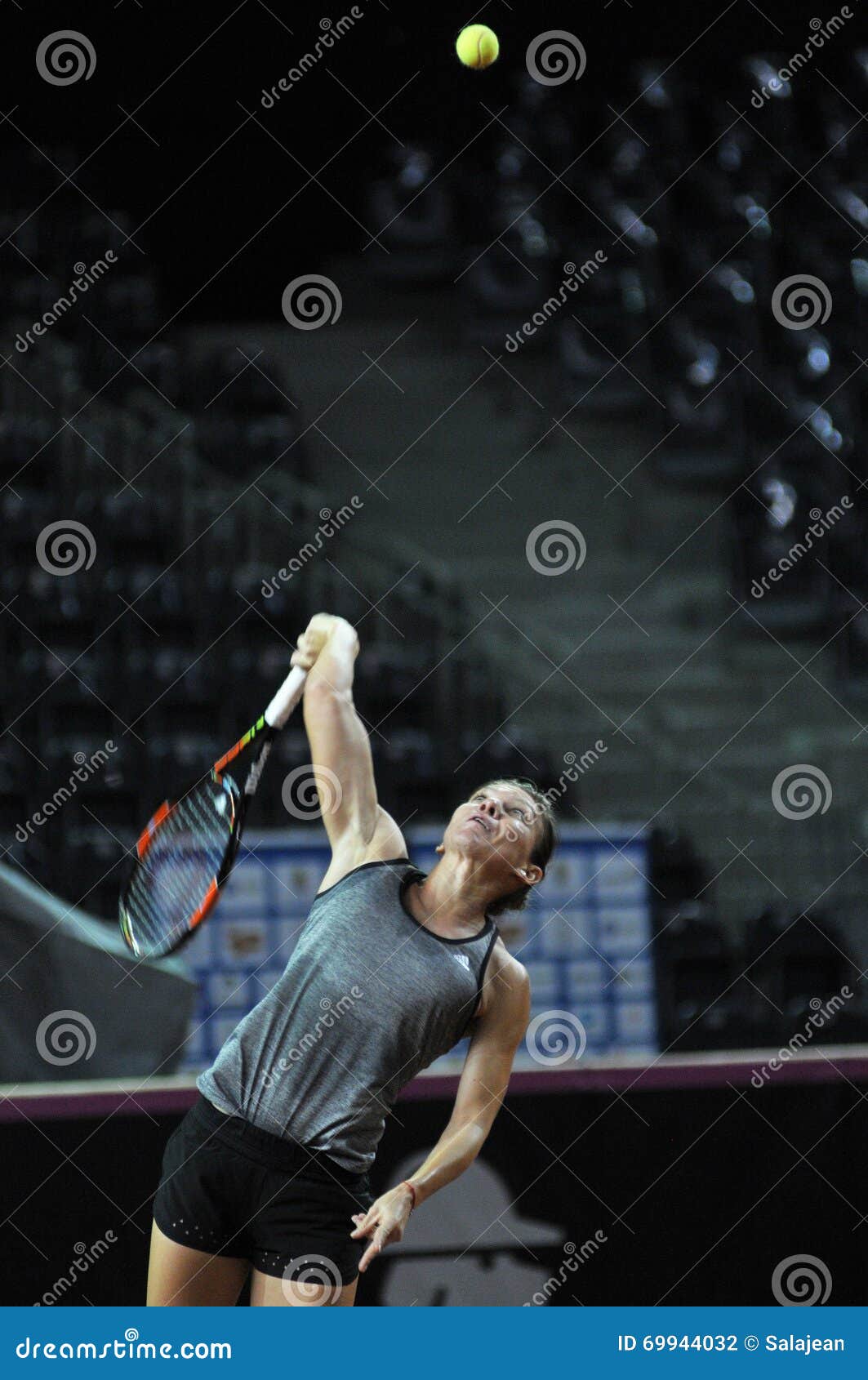 18 Wta Tennis Live Ranking Images, Stock Photos, 3D objects, & Vectors