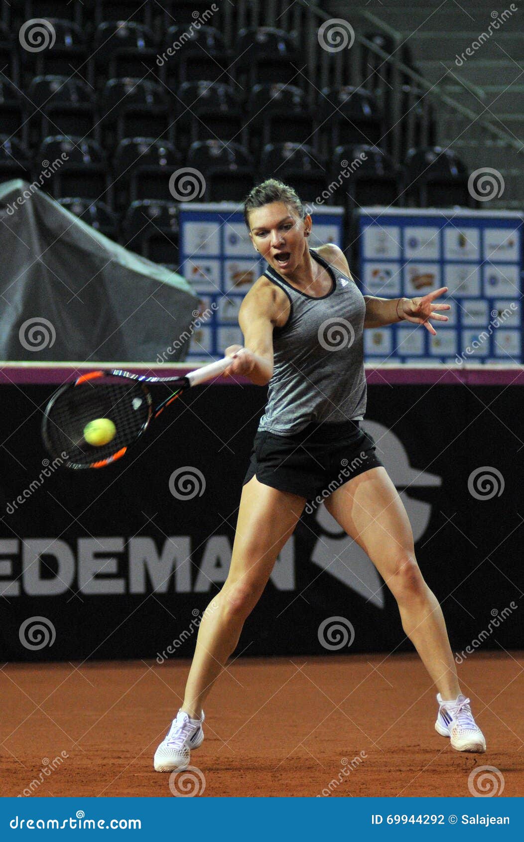 Simona Halep Tennis Player